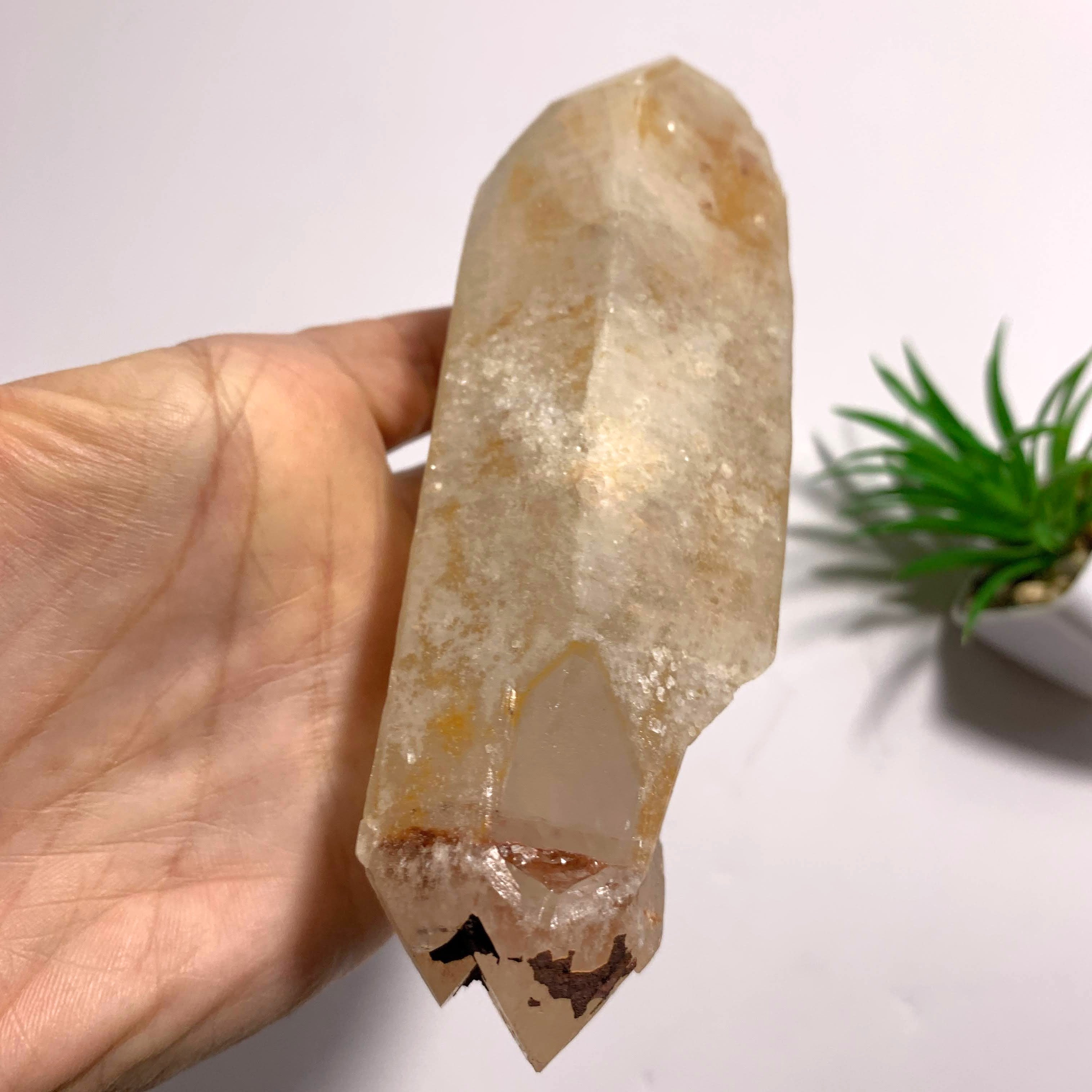 One of a Kind~Double Terminated Tangerine Lemurian Quartz Large Point Encrusted in Druzy From Brazil