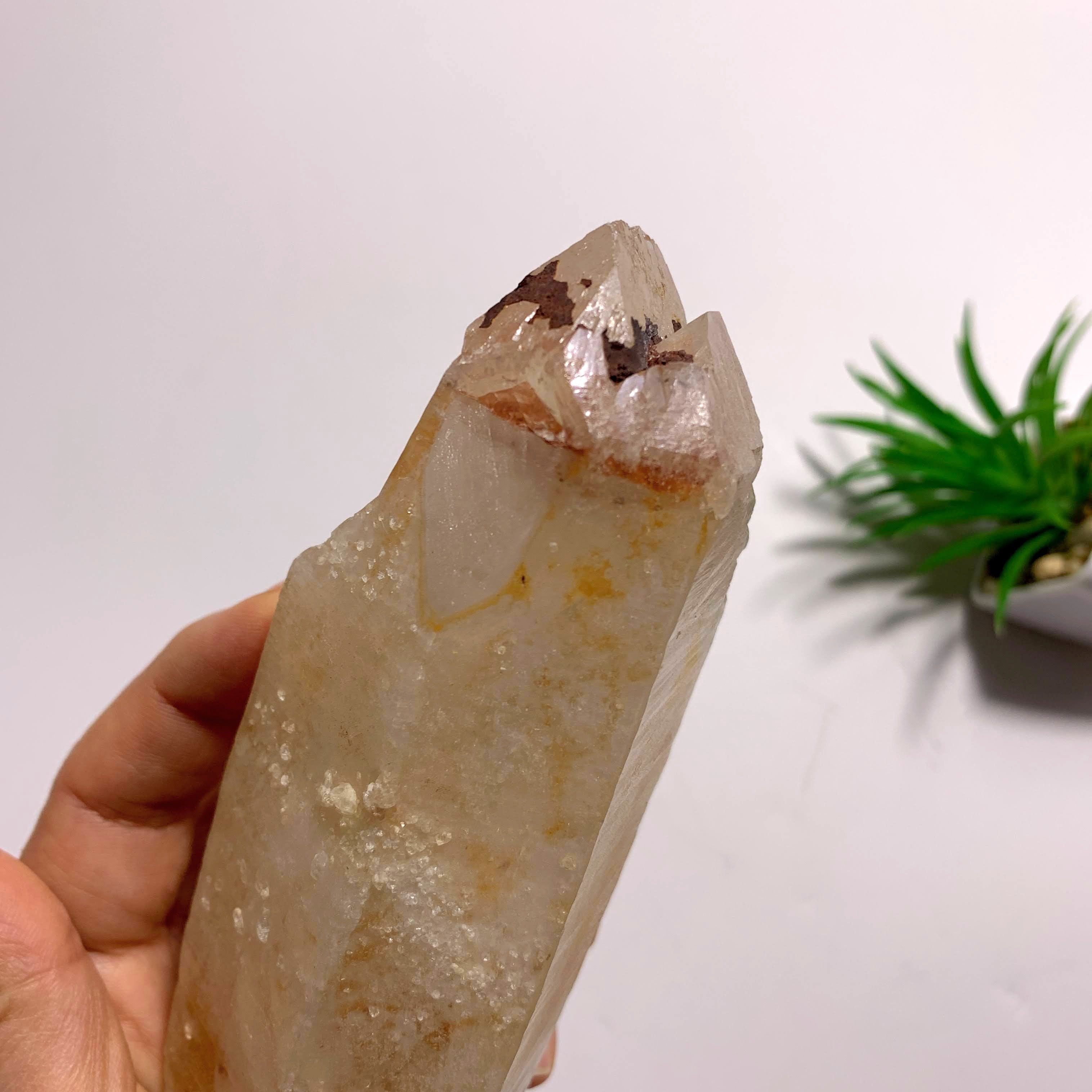 One of a Kind~Double Terminated Tangerine Lemurian Quartz Large Point Encrusted in Druzy From Brazil