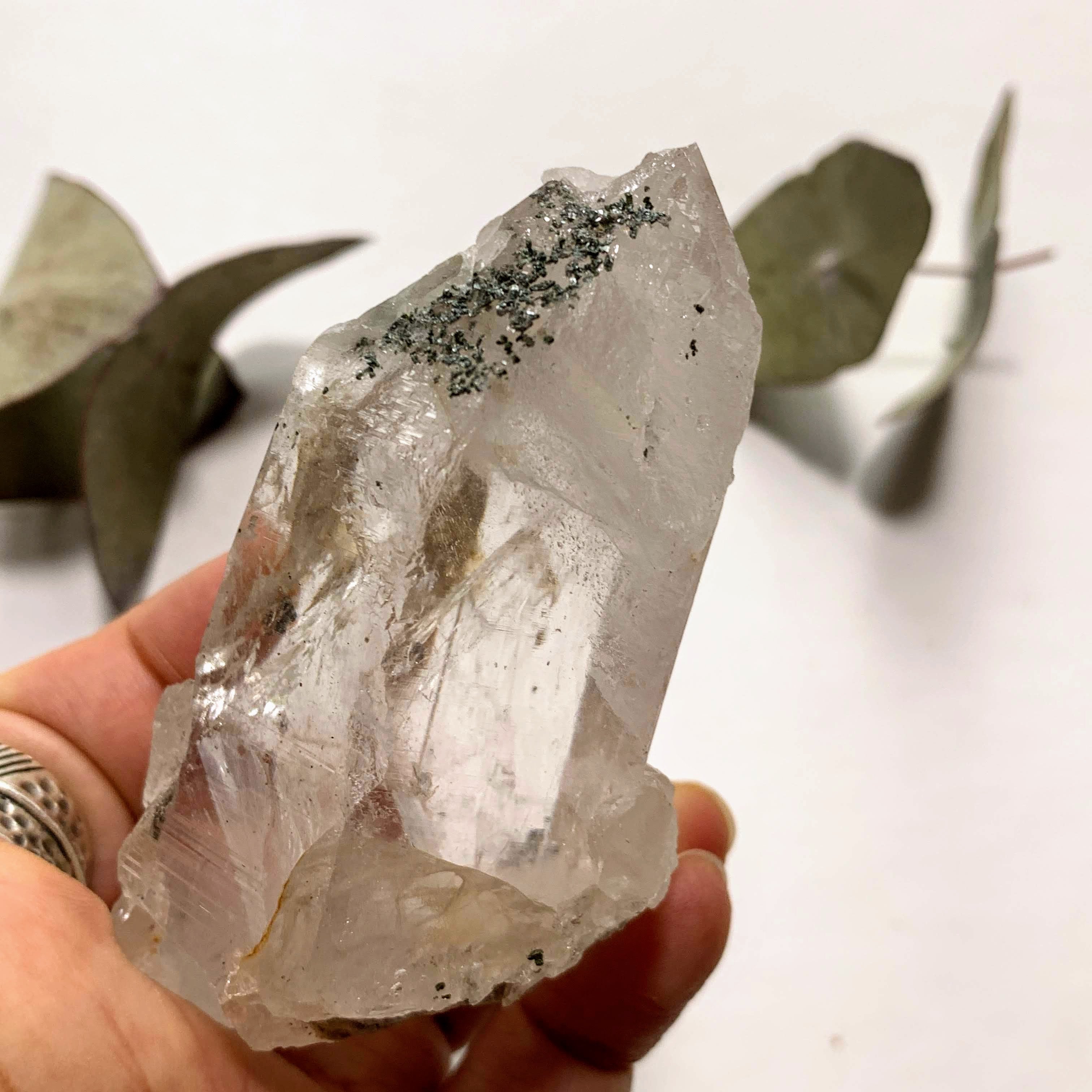 Rare Locality! Nepal Clear Quartz Natural Gemmy Point Specimen From The Himalaya Mountains - Earth Family Crystals