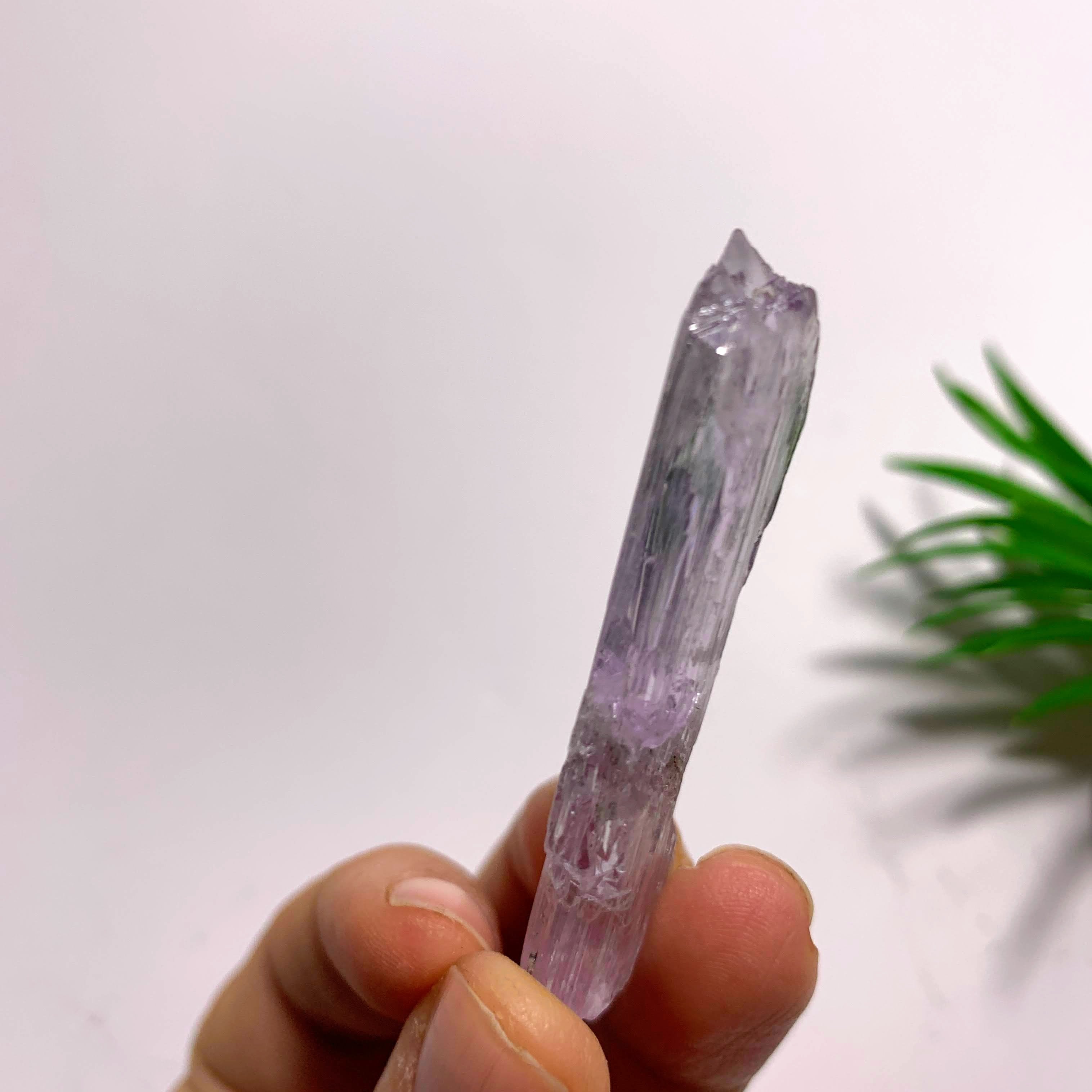 Gemmy Double Terminated Natural Lavender Kunzite Specimen  From Brazil  #1