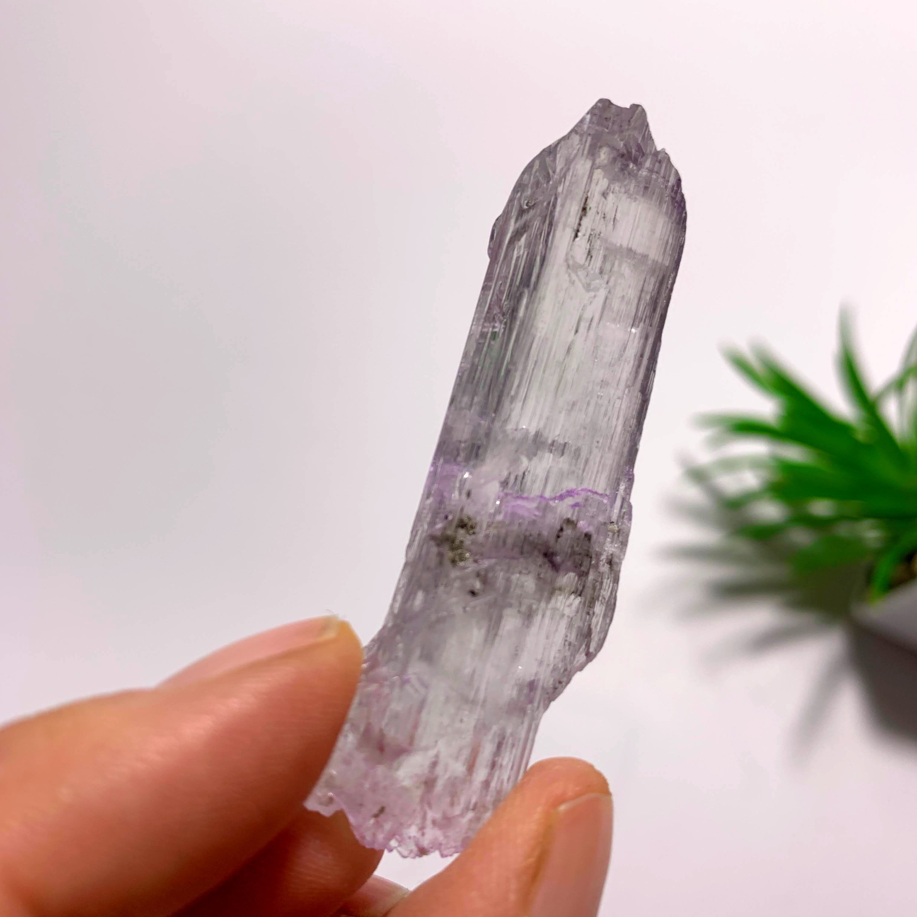 Gemmy Double Terminated Natural Lavender Kunzite Specimen  From Brazil  #1