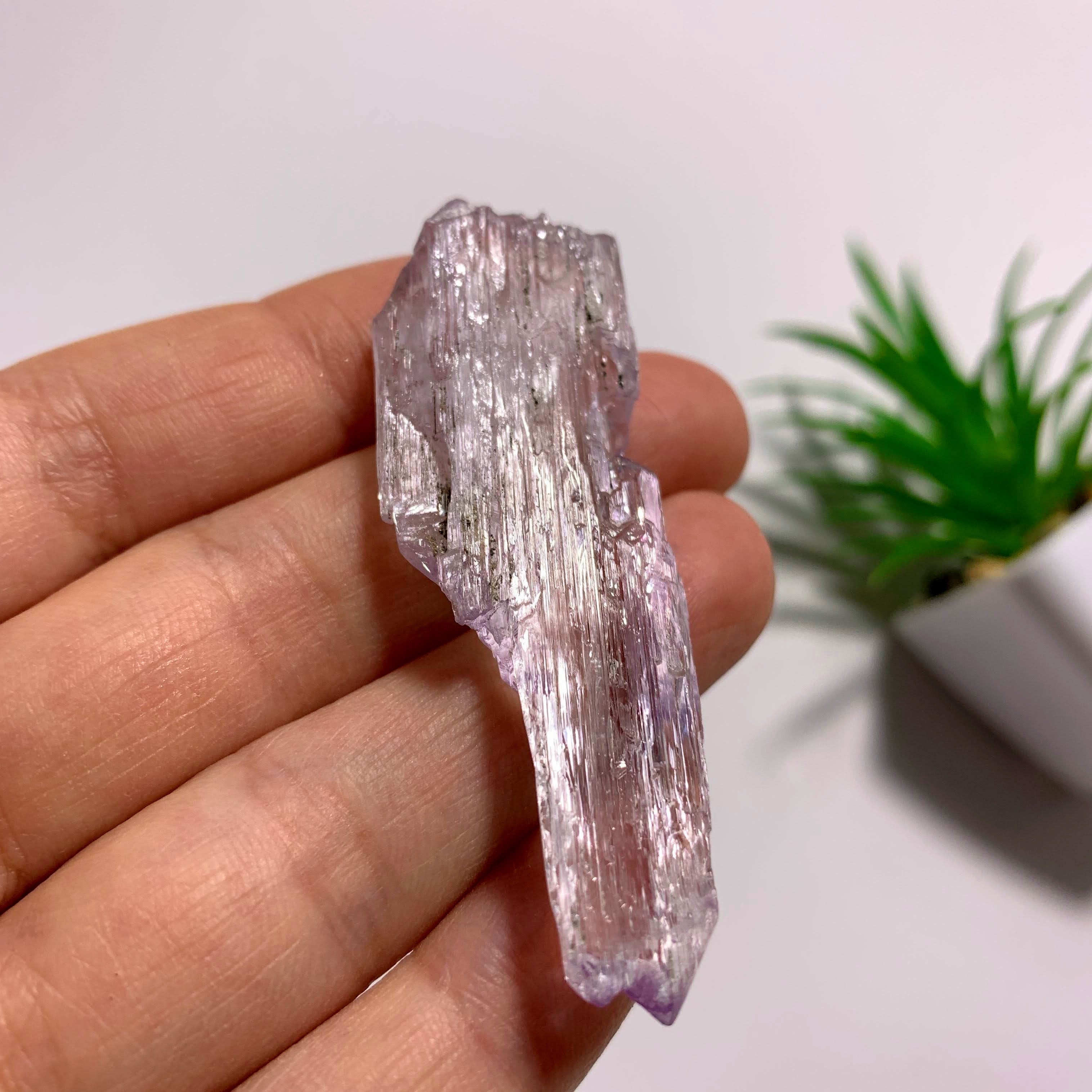 Gemmy Terminated Natural Lavender Kunzite Specimen  From Brazil  #2