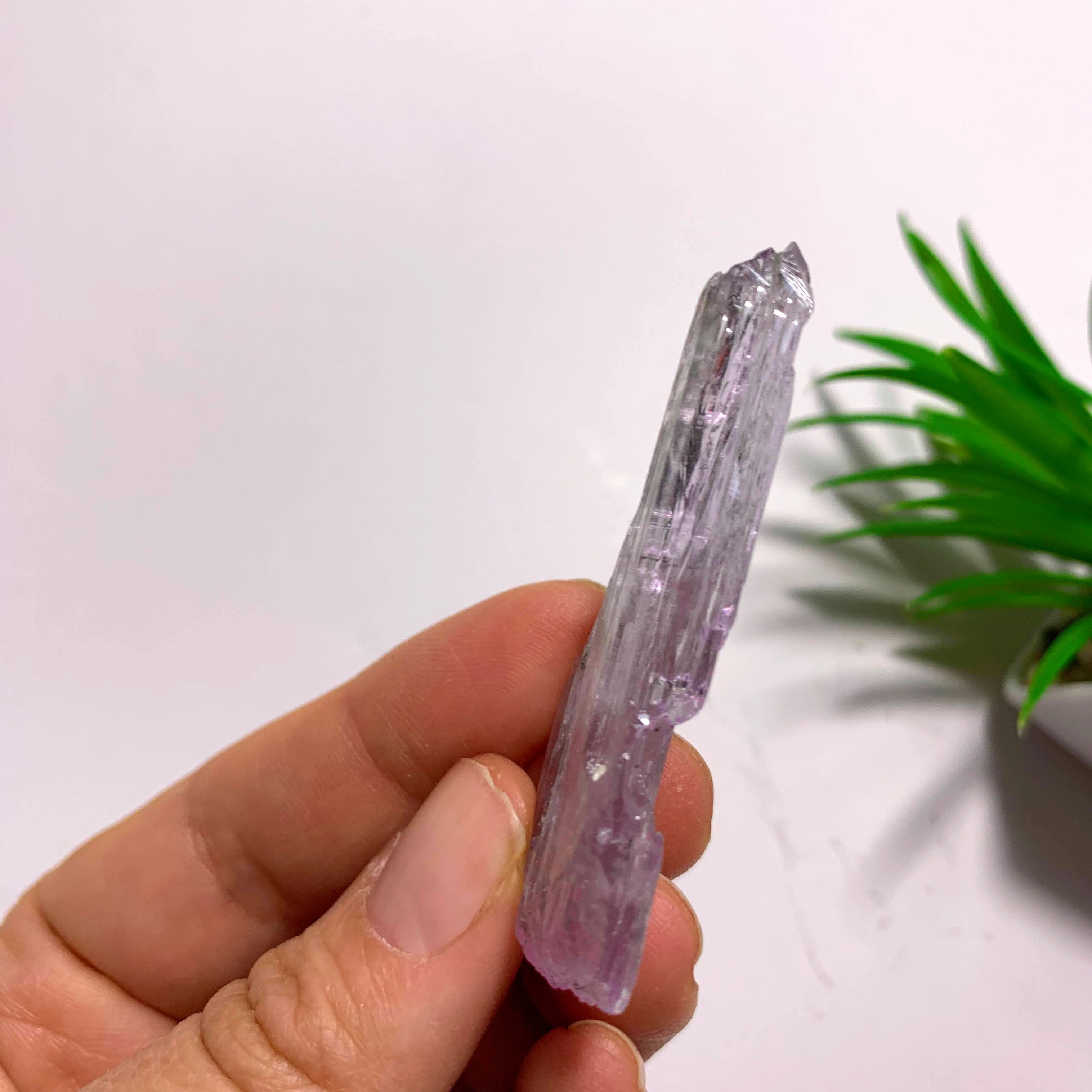 Gemmy Terminated Natural Lavender Kunzite Specimen  From Brazil  #2
