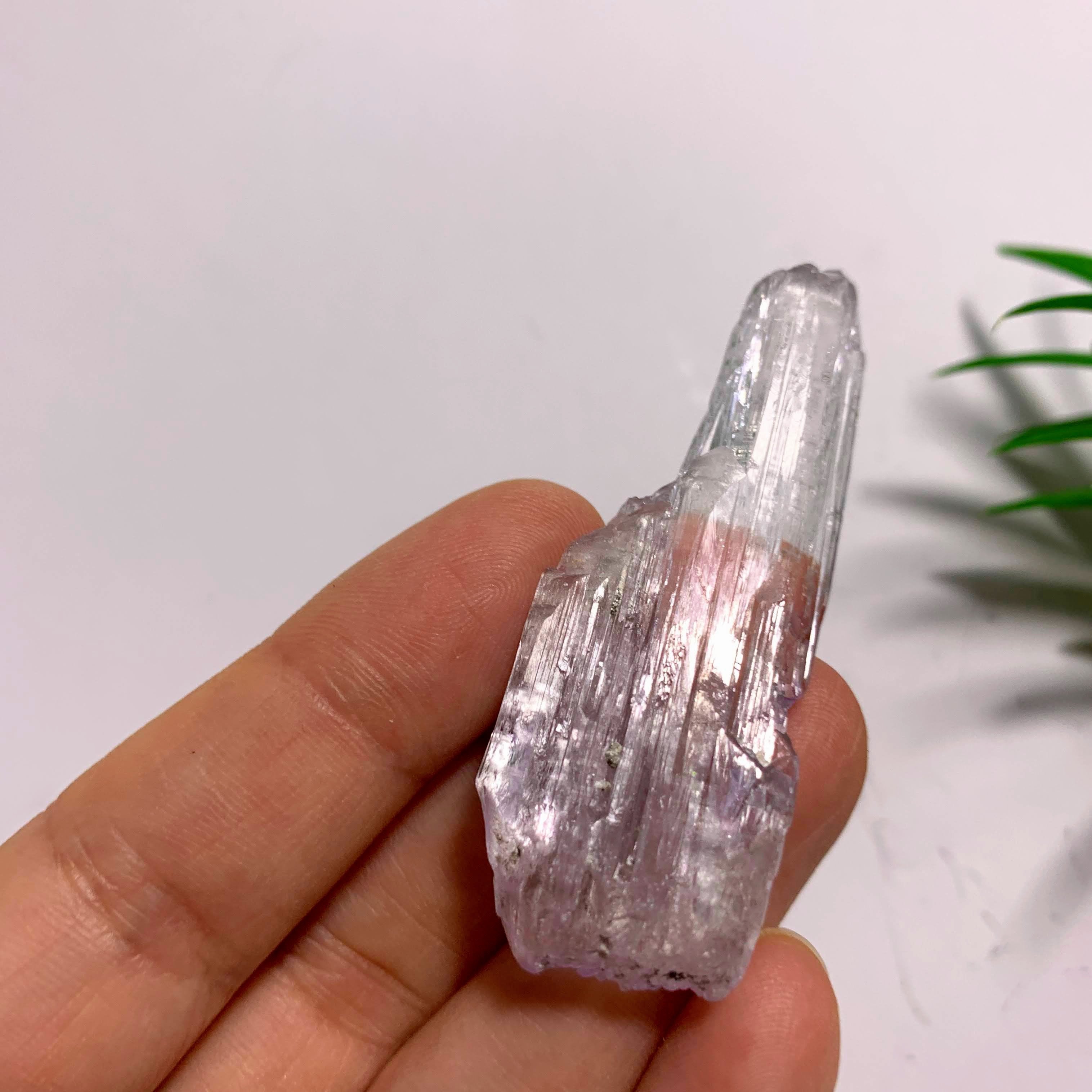 Gemmy Terminated Natural Lavender Kunzite Specimen  From Brazil  #2