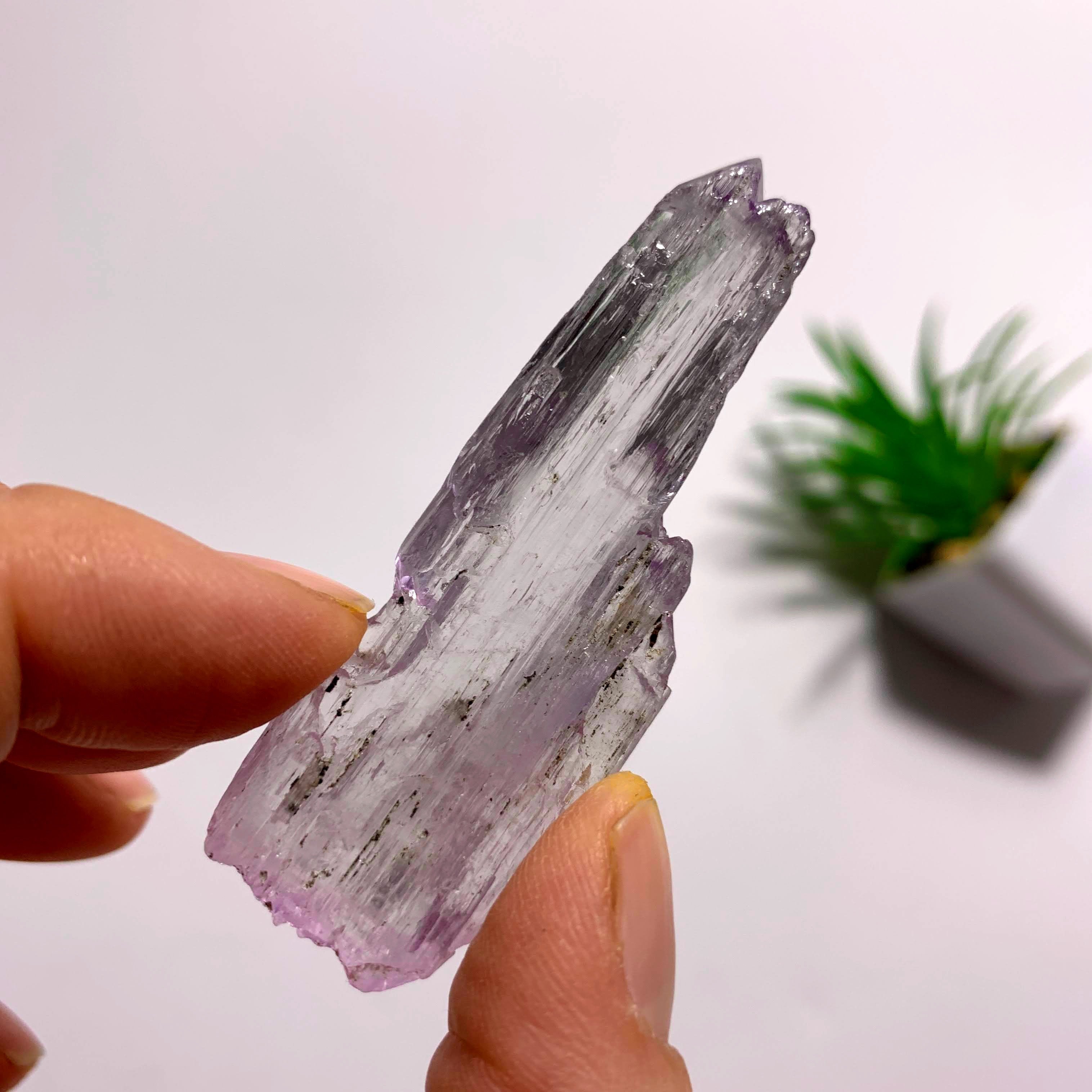 Gemmy Terminated Natural Lavender Kunzite Specimen  From Brazil  #2