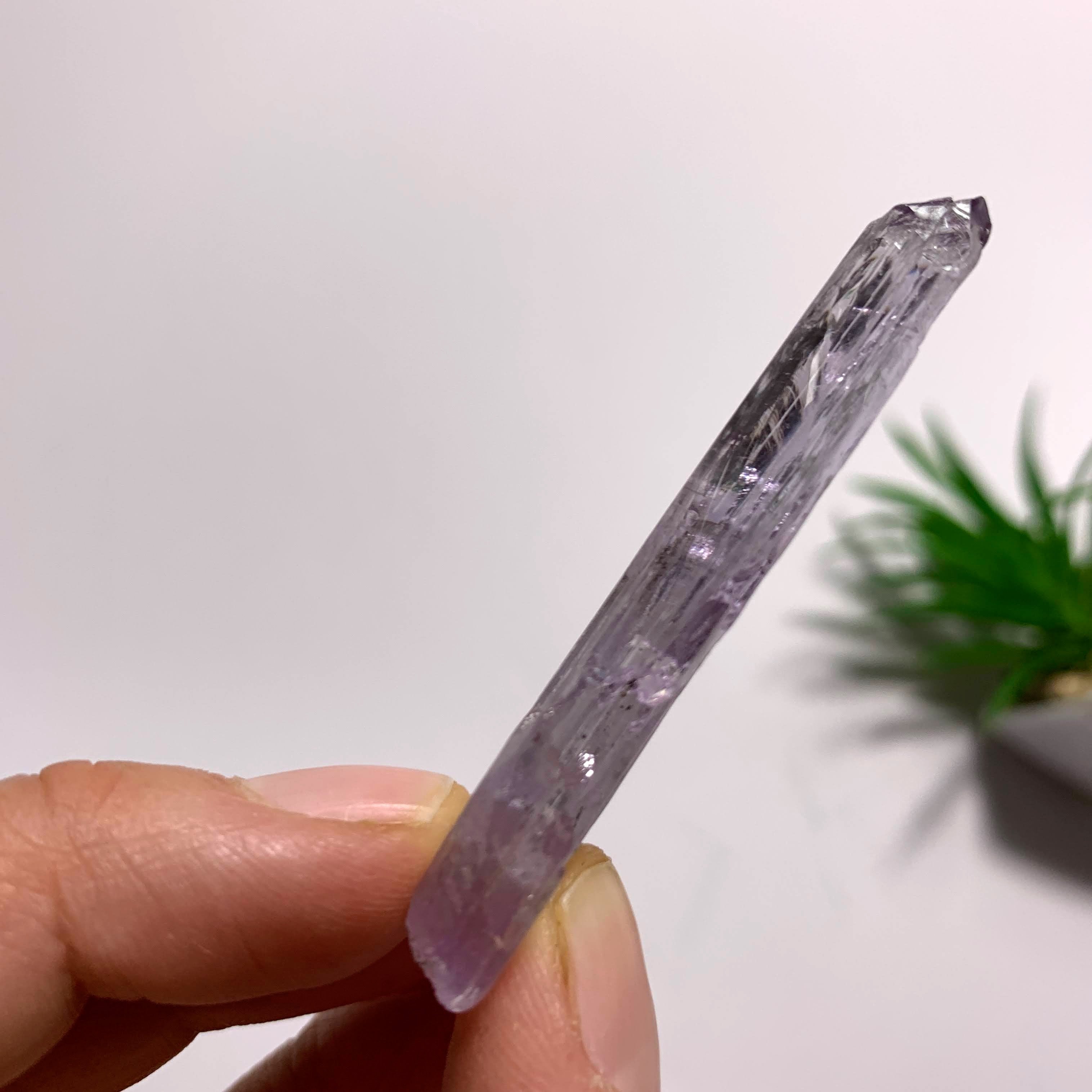 Gemmy Terminated Natural Lavender Kunzite Specimen  From Brazil  #2