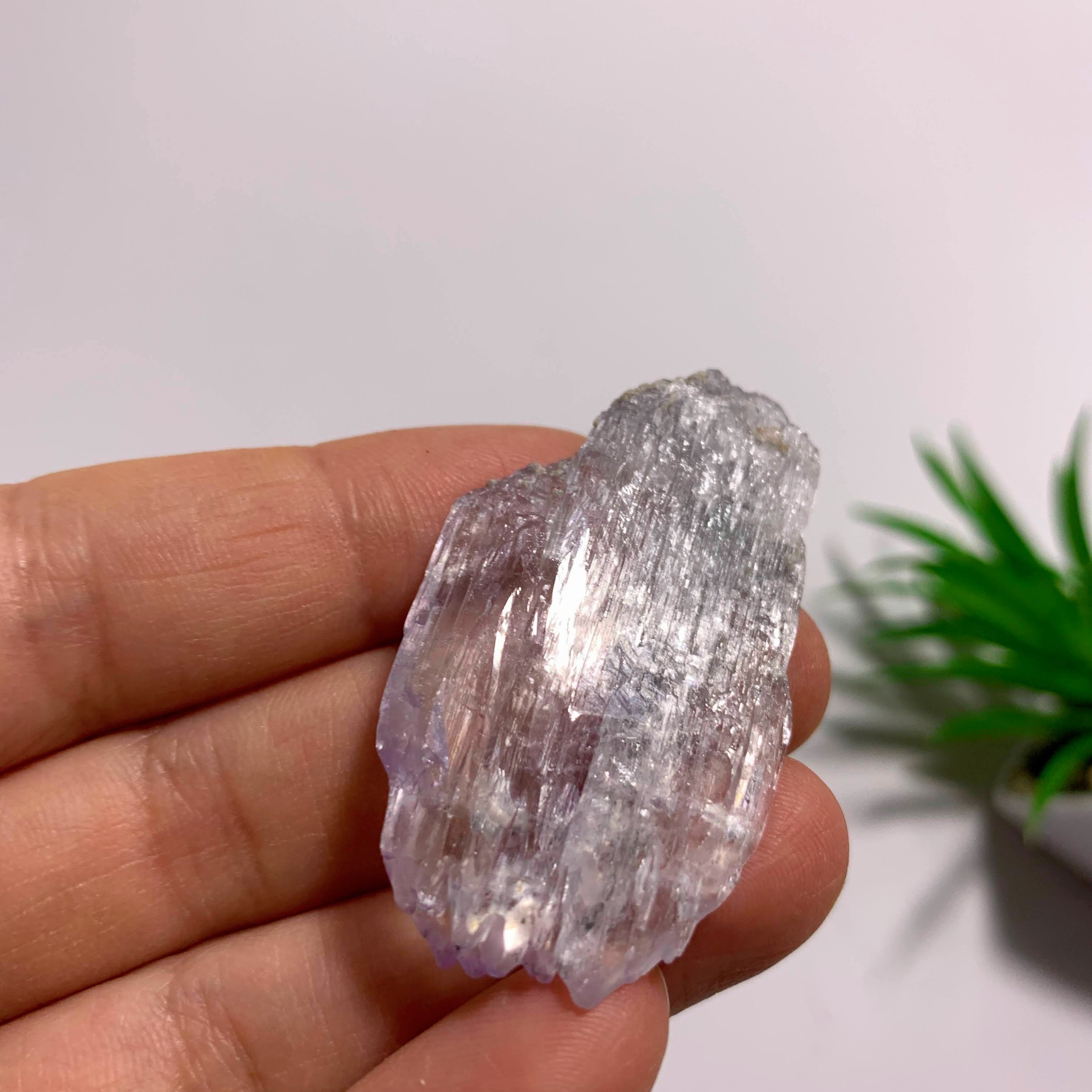 Gemmy Terminated Natural Lavender Kunzite Specimen  From Brazil  #3