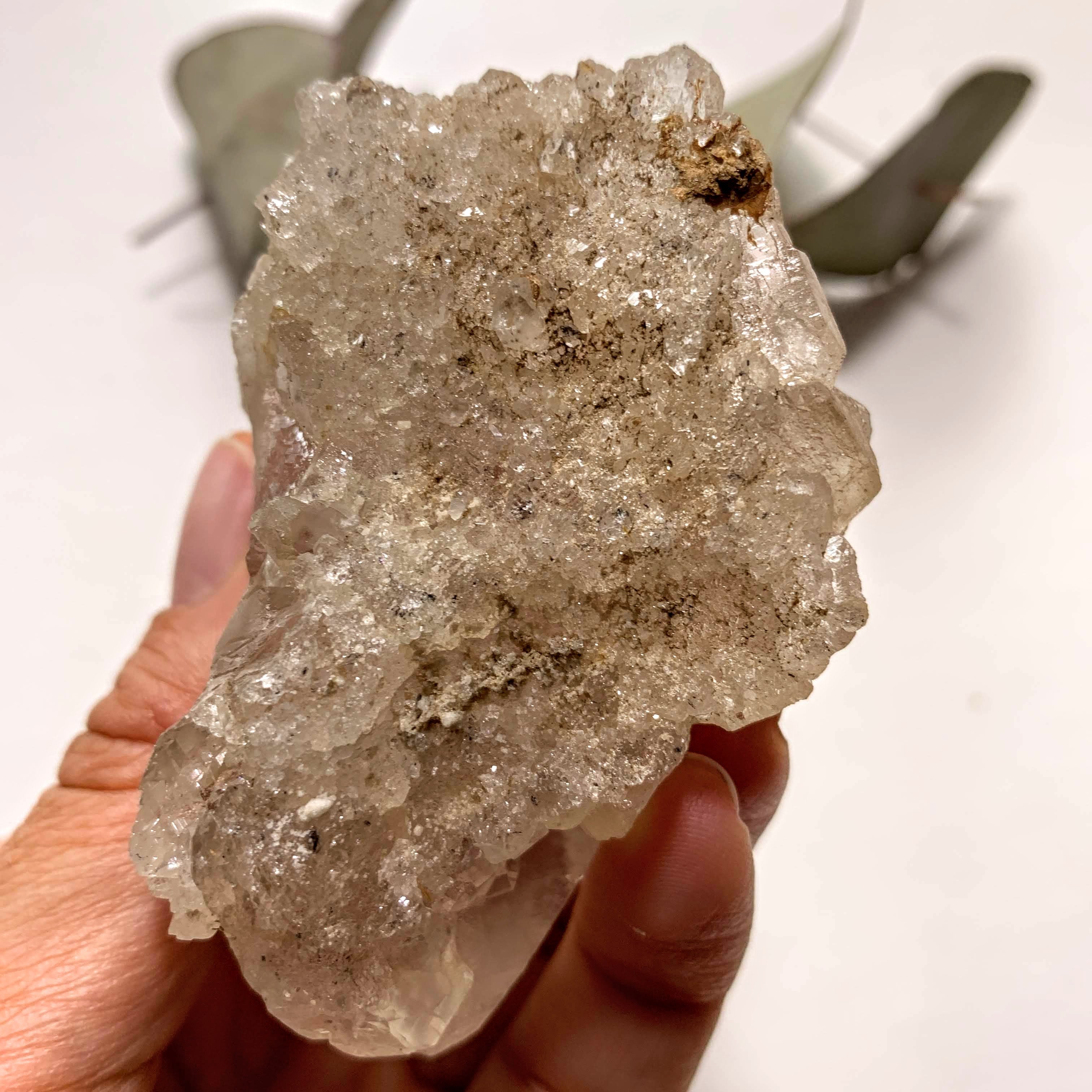 Rare Locality! Nepal Clear Quartz Gemmy Self Healed Druzy Cluster From The Himalaya Mountains - Earth Family Crystals