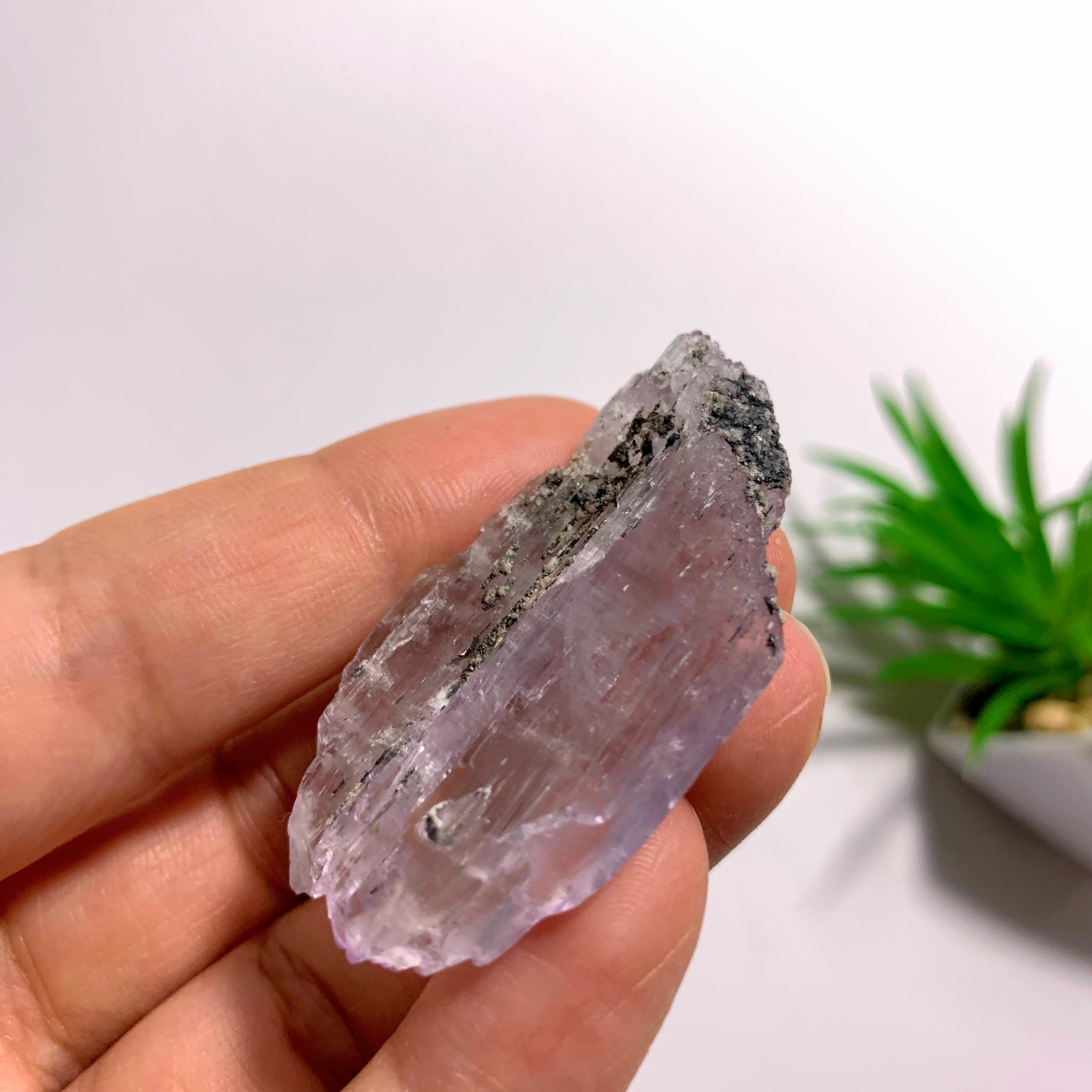 Gemmy Terminated Natural Lavender Kunzite Specimen  From Brazil  #3