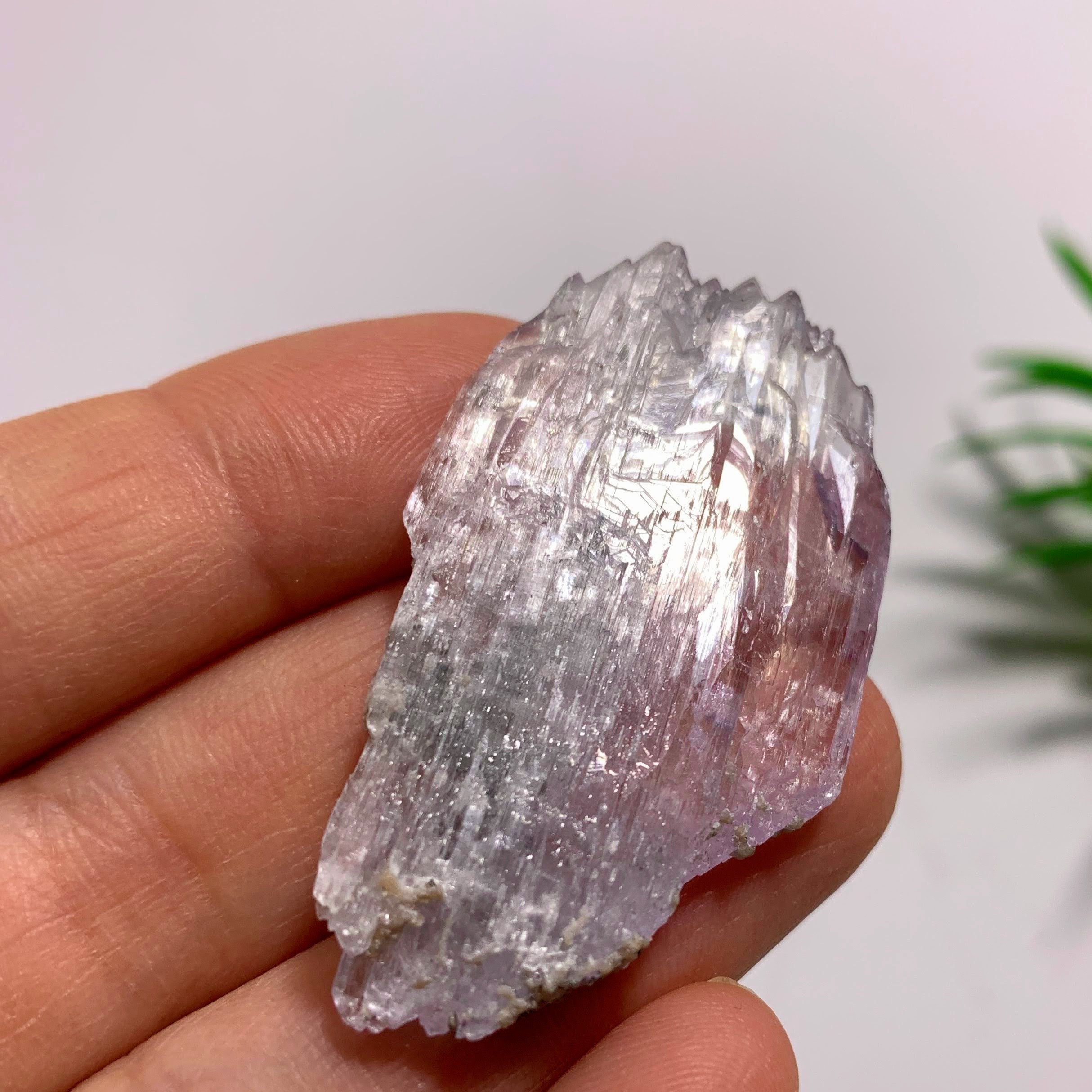 Gemmy Terminated Natural Lavender Kunzite Specimen  From Brazil  #3