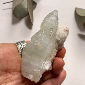 Gemmy Mint Green/Clear Apophyllite With Stilbite Nestled & Chalcedony Matrix From India - Earth Family Crystals