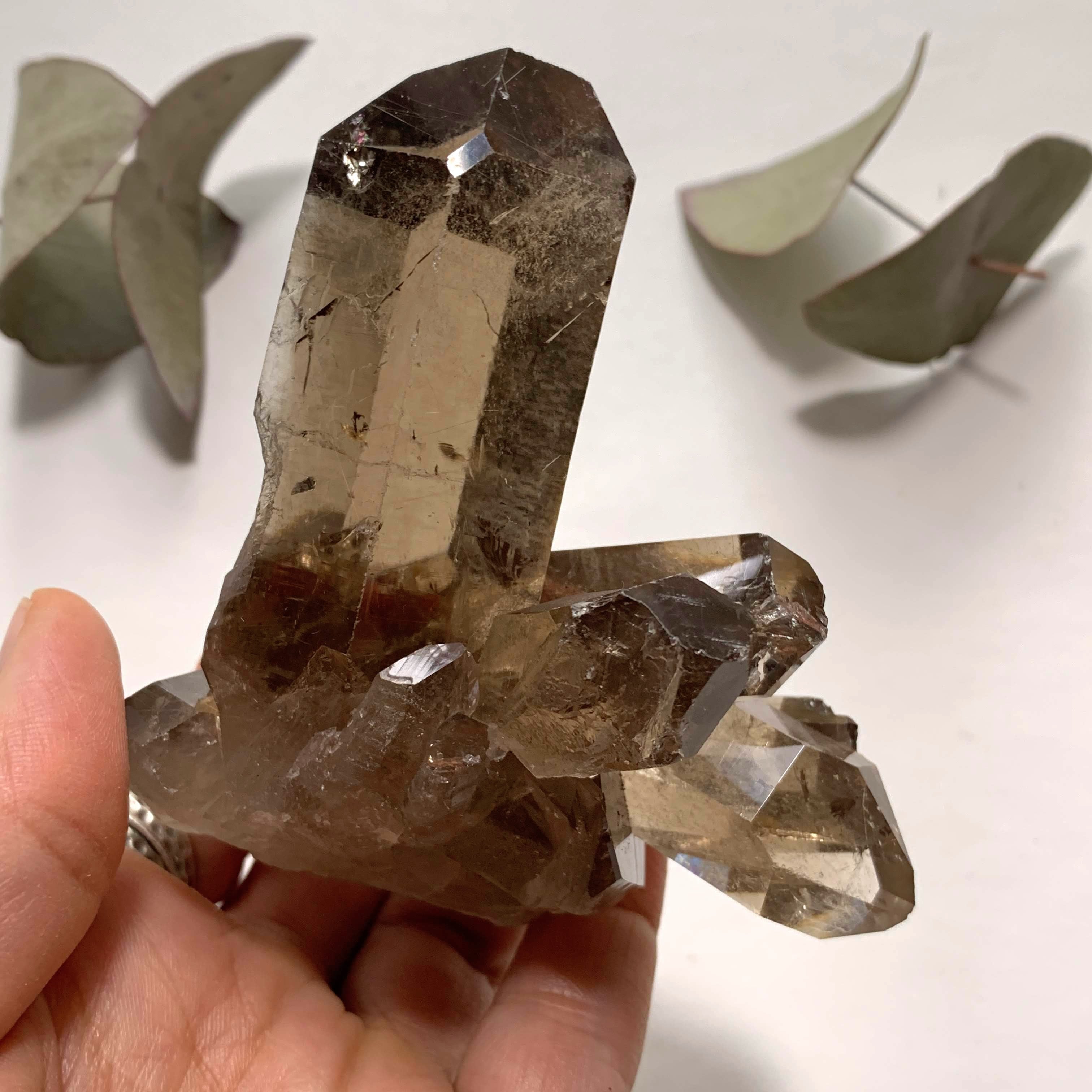 Natural Gemmy Rutilated Smoky Quartz Large Cluster From Brazil - Earth Family Crystals