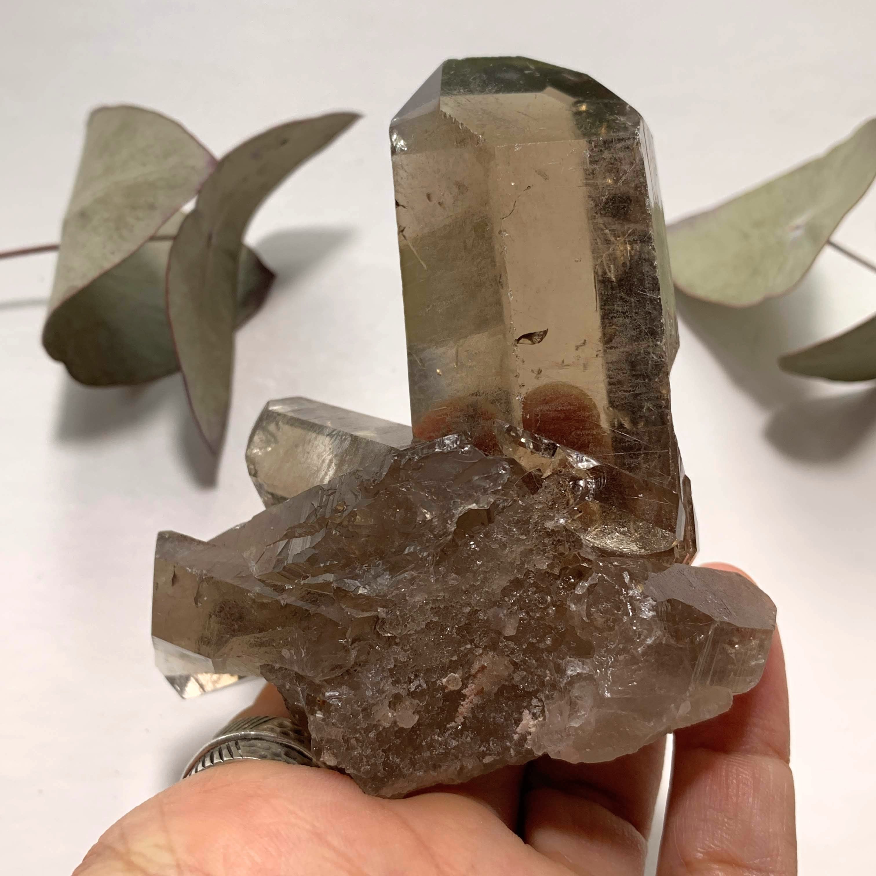 Natural Gemmy Rutilated Smoky Quartz Large Cluster From Brazil - Earth Family Crystals