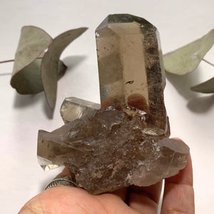 Natural Gemmy Rutilated Smoky Quartz Large Cluster From Brazil - Earth Family Crystals