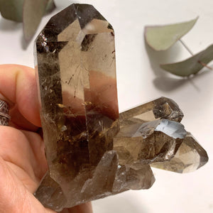 Natural Gemmy Rutilated Smoky Quartz Large Cluster From Brazil - Earth Family Crystals