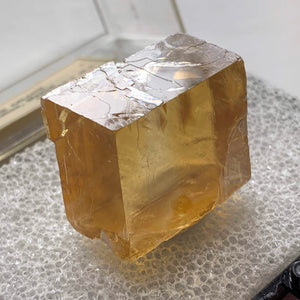 Old Collection~Natural Golden Calcite Specimen in Collectors Box From Chihuahua, Mexico - Earth Family Crystals