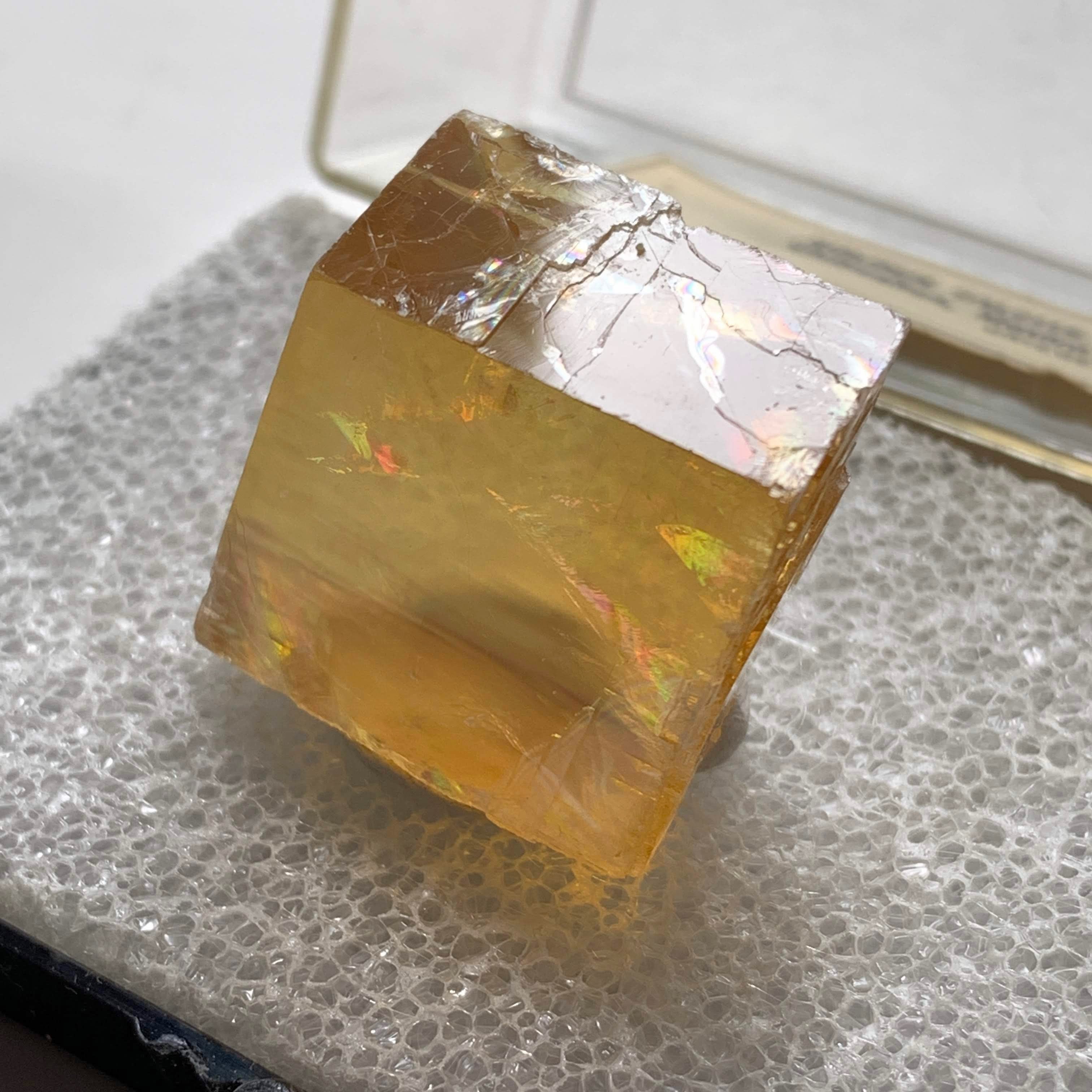 Old Collection~Natural Golden Calcite Specimen in Collectors Box From Chihuahua, Mexico - Earth Family Crystals