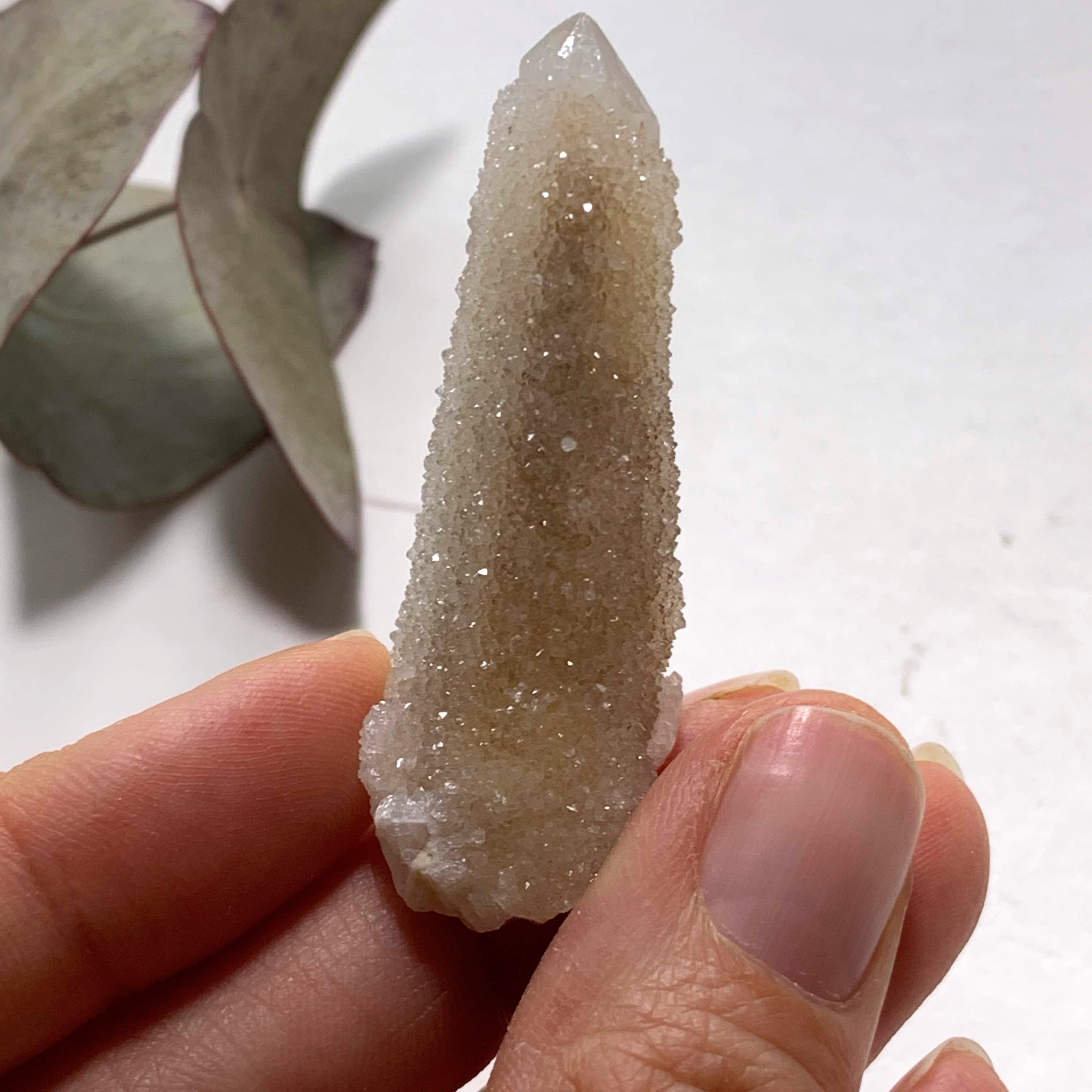 Pretty Sparkle White Spirit Quartz Point from South Africa - Earth Family Crystals