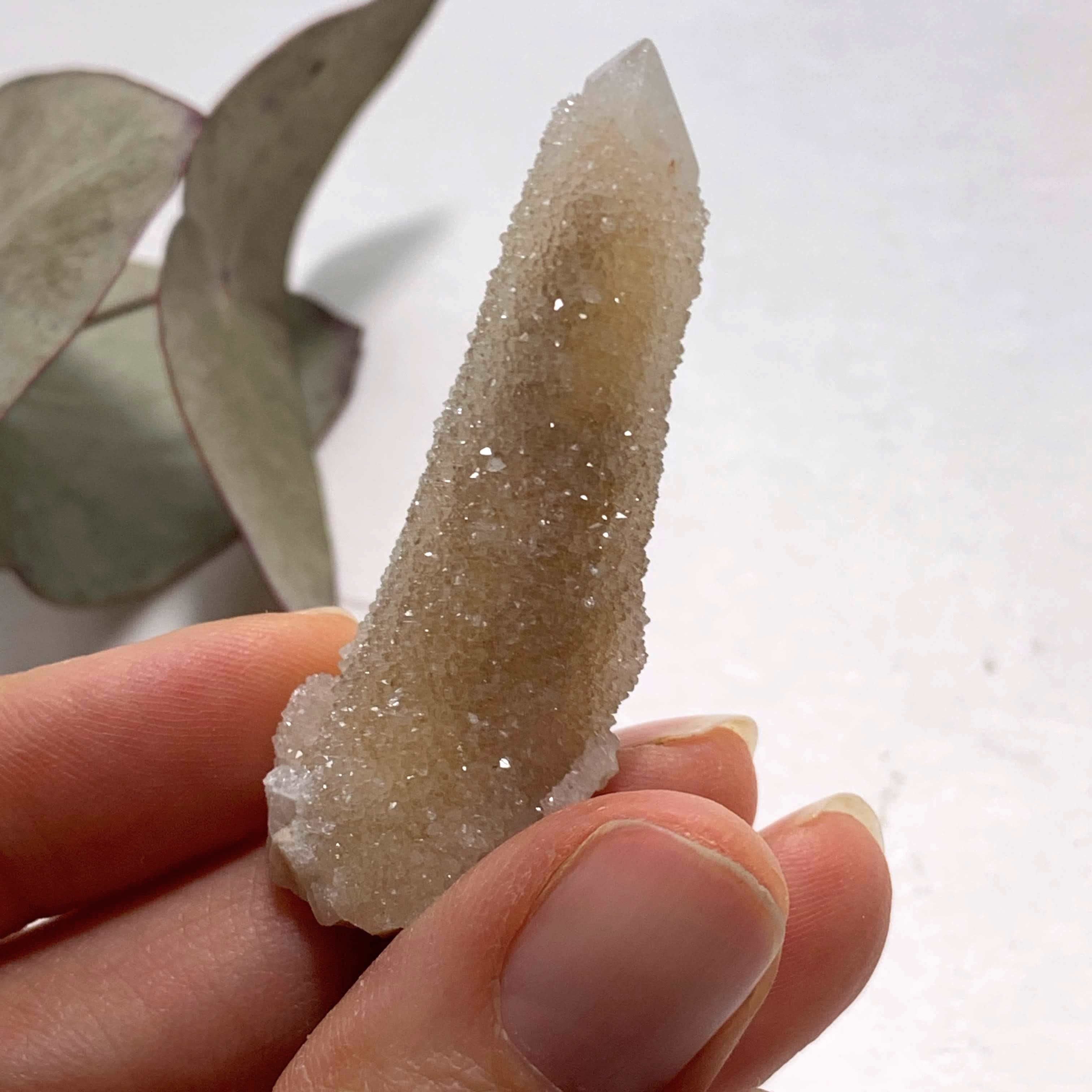 Pretty Sparkle White Spirit Quartz Point from South Africa - Earth Family Crystals