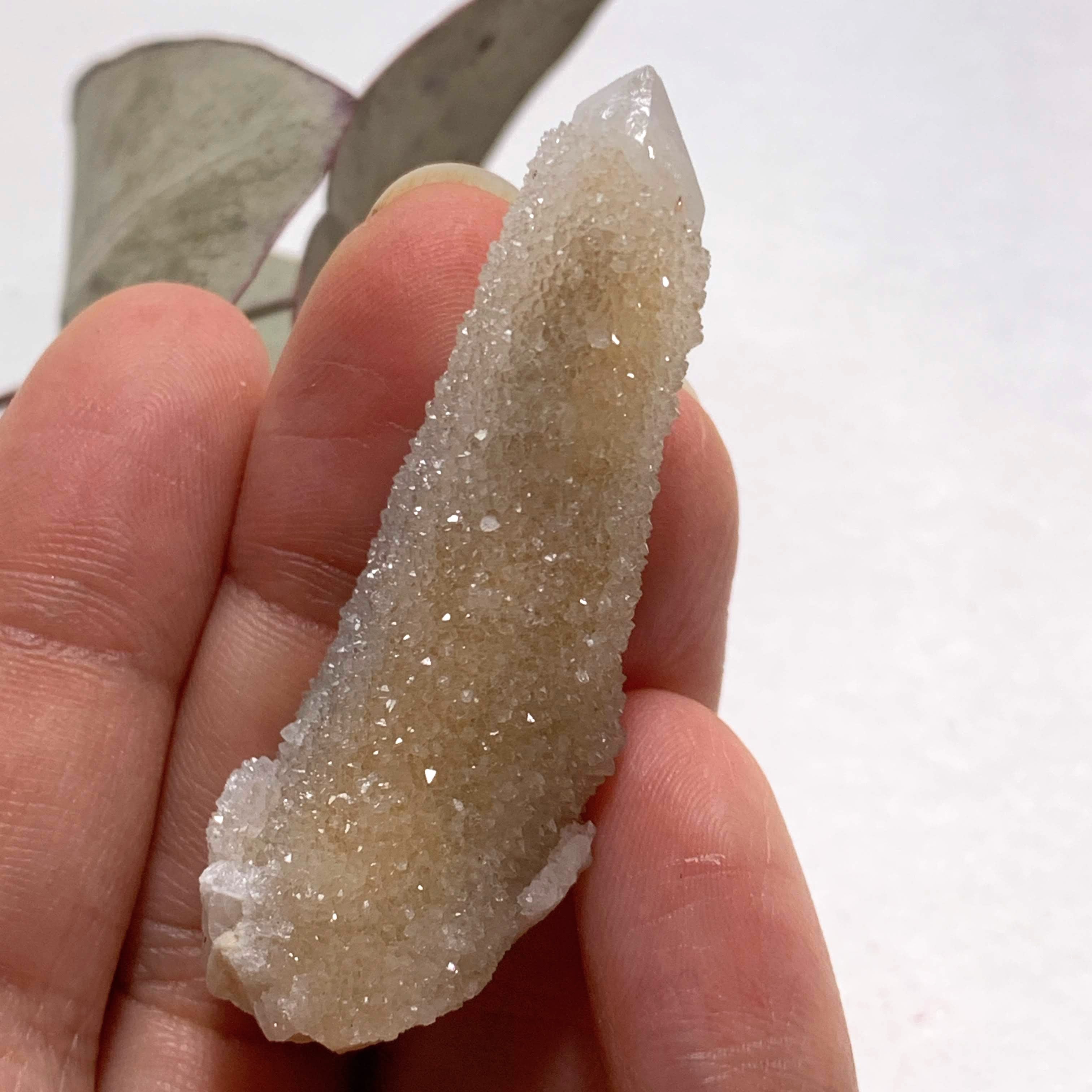 Pretty Sparkle White Spirit Quartz Point from South Africa - Earth Family Crystals