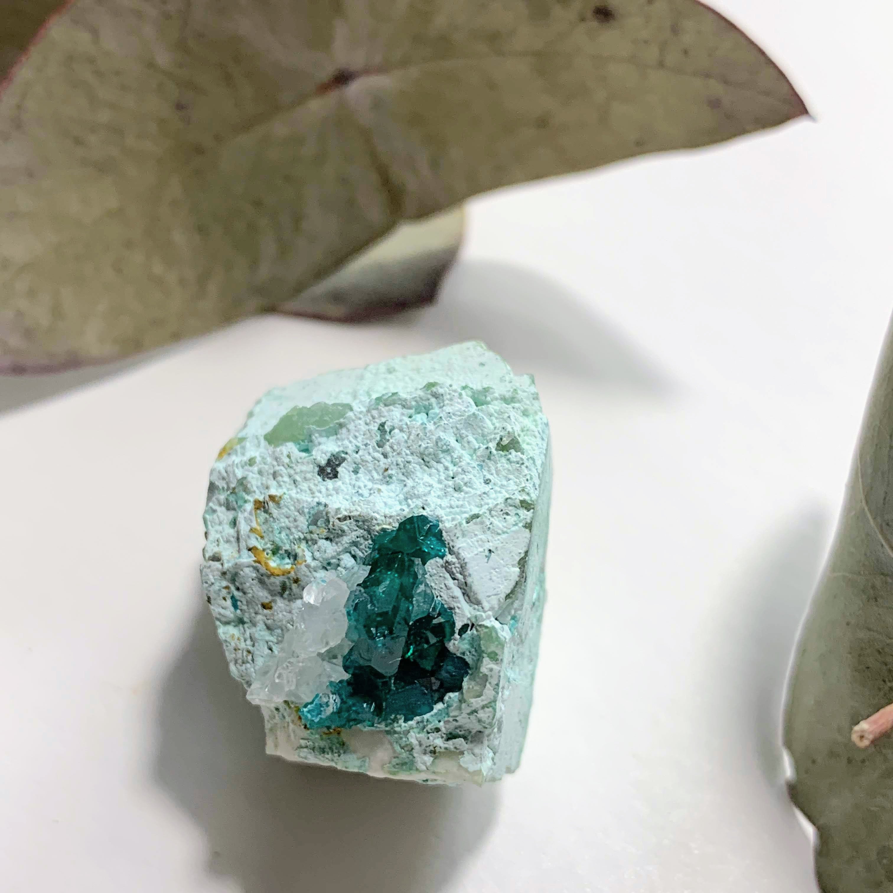 Rare! Emerald Blue/Green Natural Dioptase & Clear Quartz Nestle in Matrix From Namibia