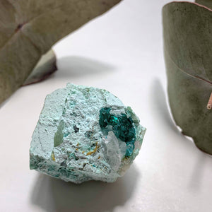 Rare! Emerald Blue/Green Natural Dioptase & Clear Quartz Nestle in Matrix From Namibia