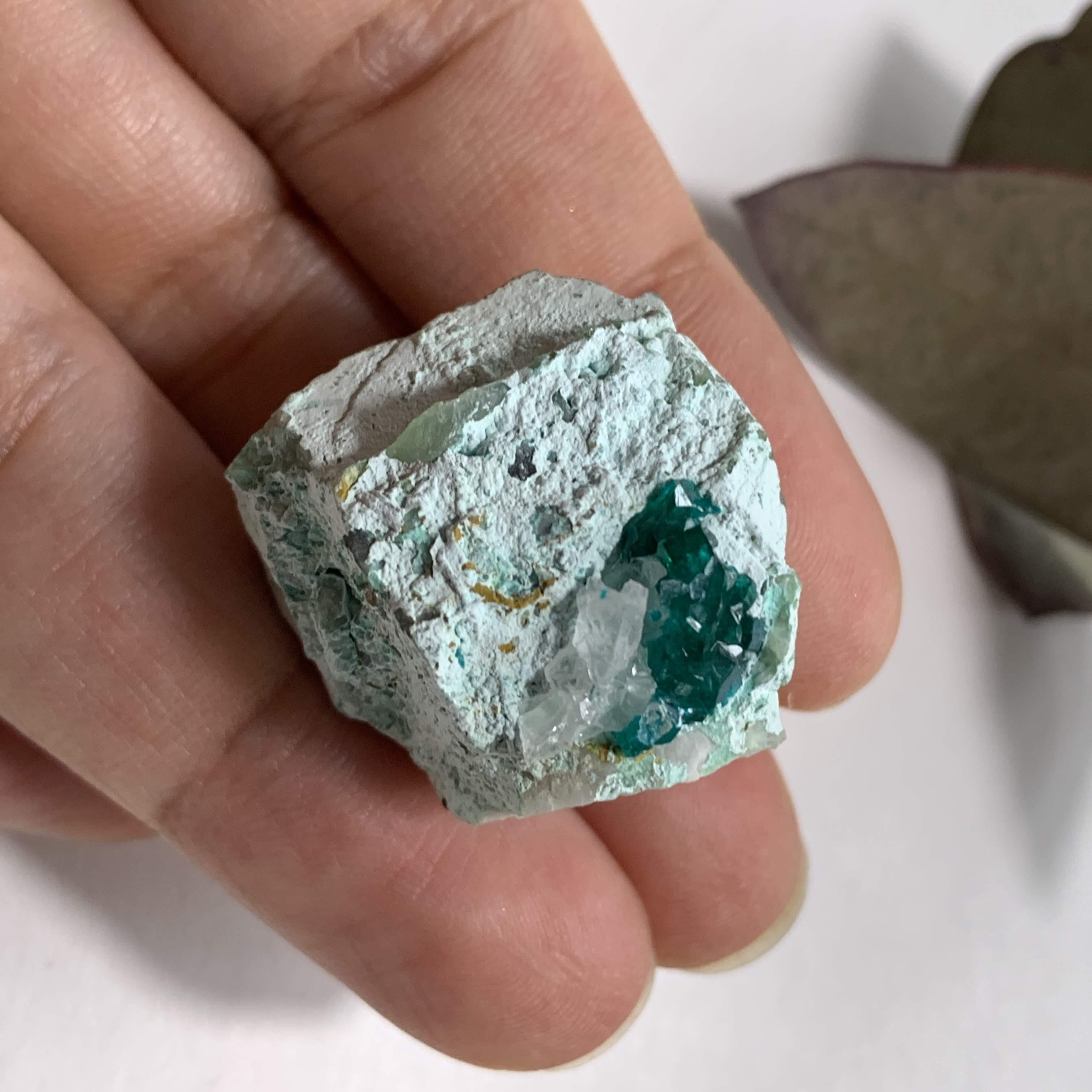 Rare! Emerald Blue/Green Natural Dioptase & Clear Quartz Nestle in Matrix From Namibia