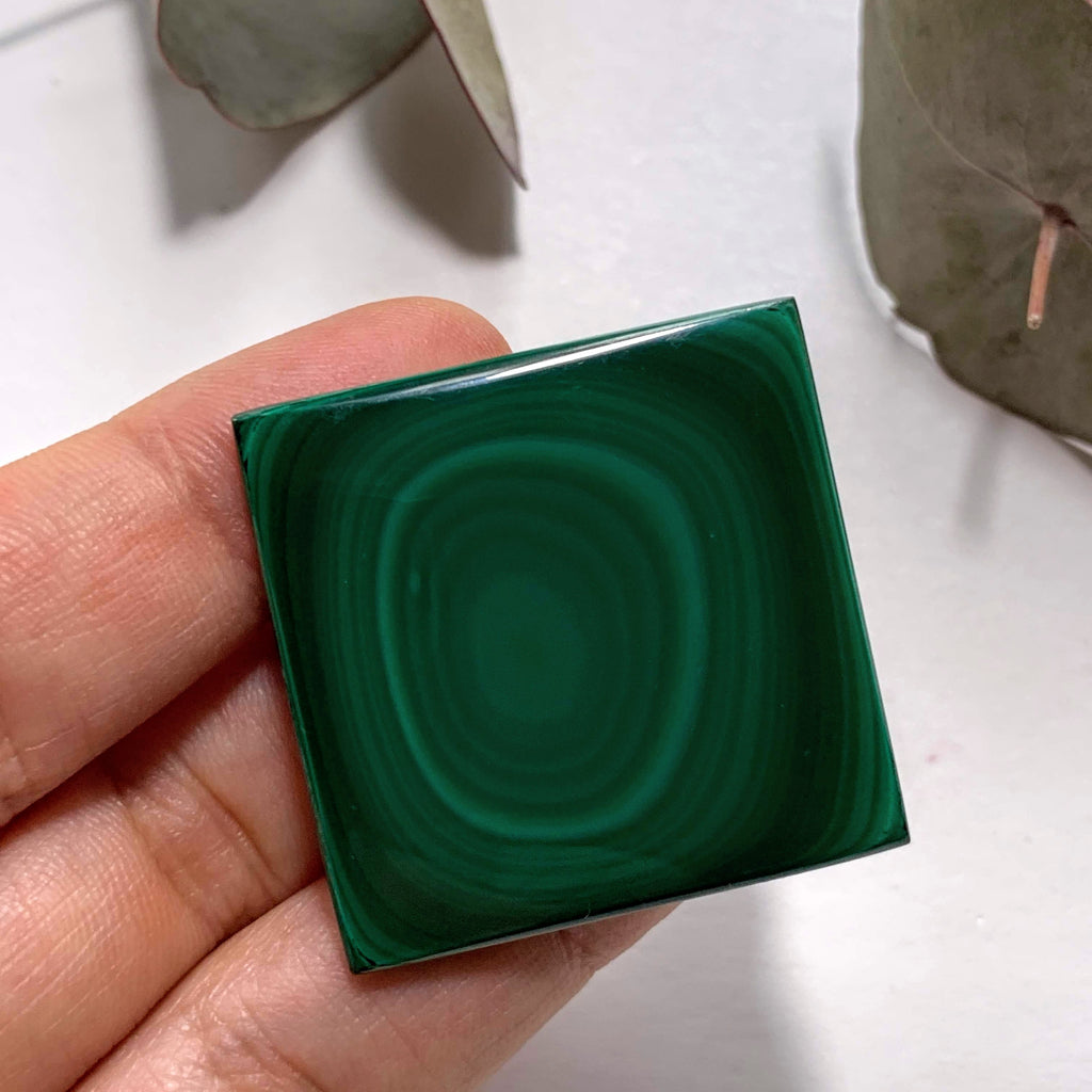 Deep Green Swirls Malachite Cabochon~ Ideal for Crafting - Earth Family Crystals