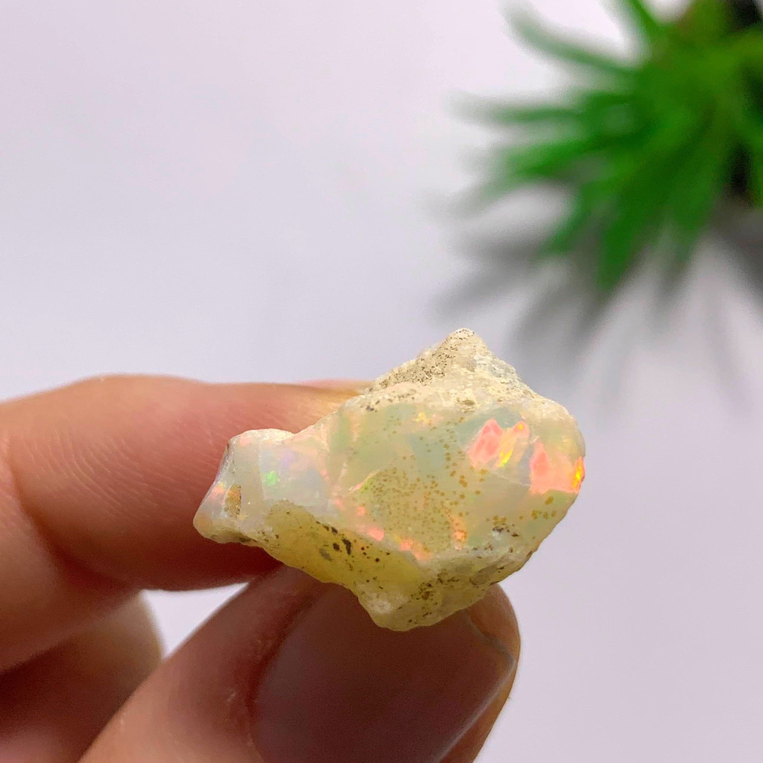 Flashy Ethiopian Opal Raw Specimen #1
