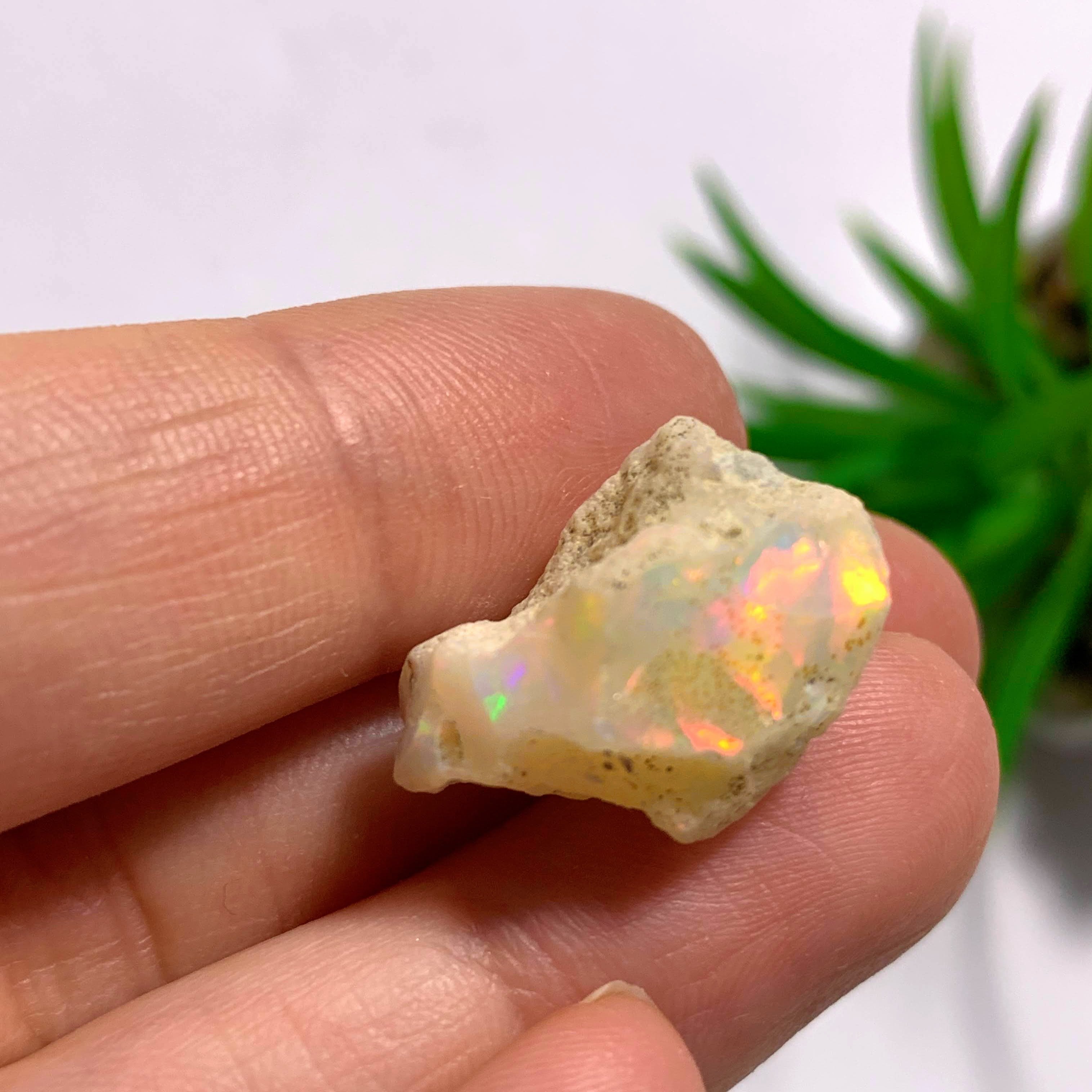 Flashy Ethiopian Opal Raw Specimen #1