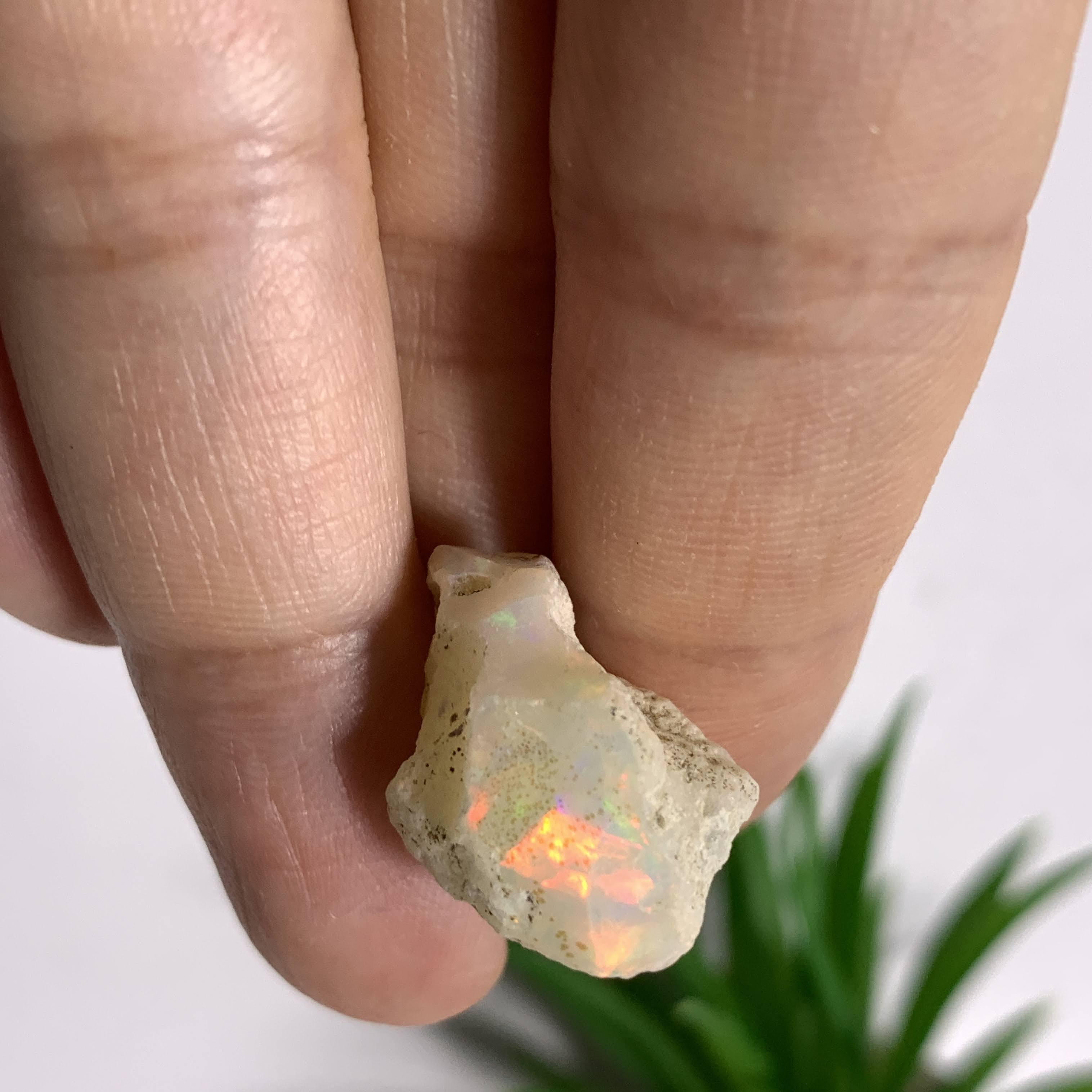 Flashy Ethiopian Opal Raw Specimen #1