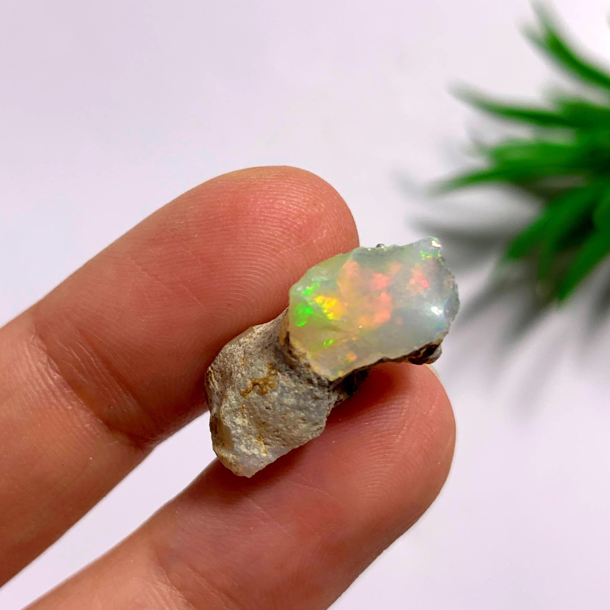 Flashy Ethiopian Opal Raw Specimen #2