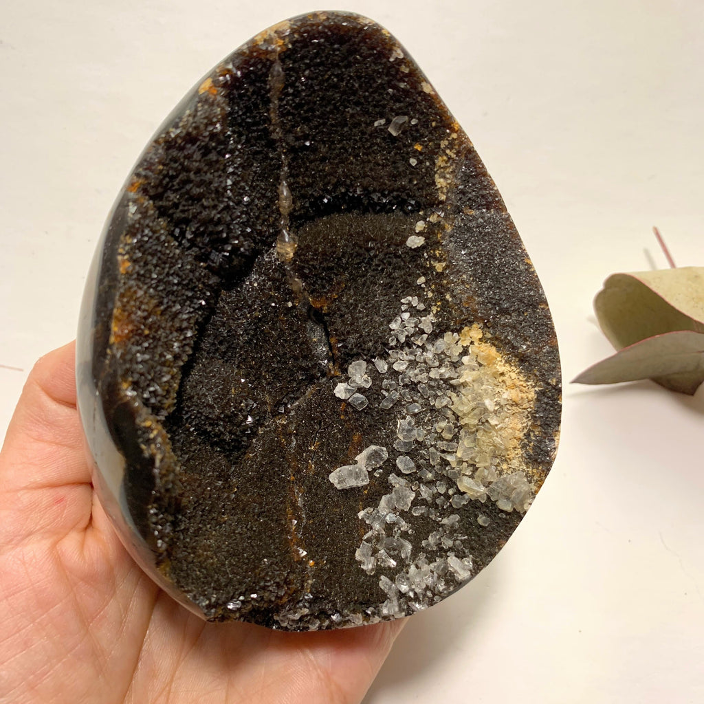 Fascinating Chocolate Brown Druzy Septarian Dragon Egg Display Geode With Calcite Inclusions - Earth Family Crystals