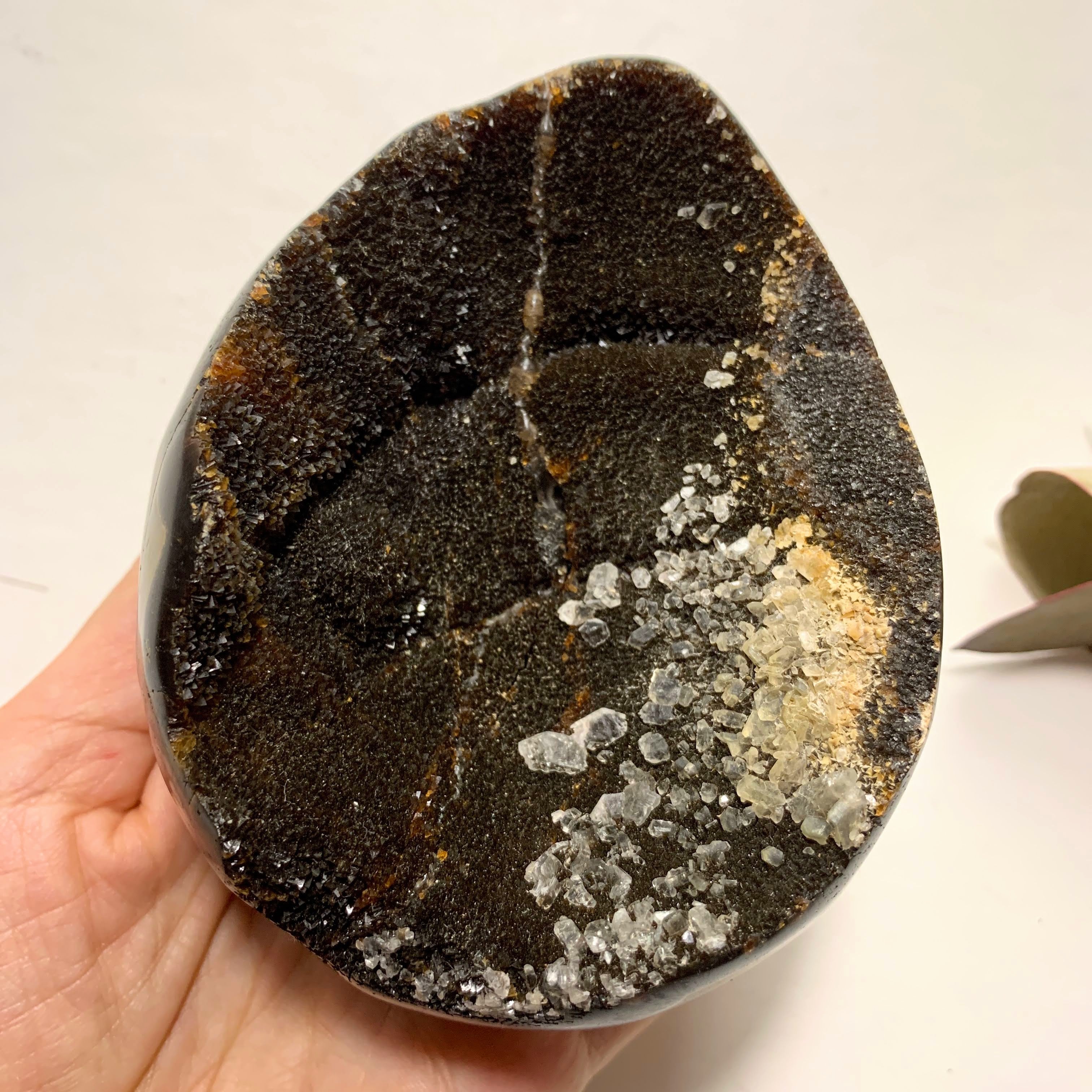 Fascinating Chocolate Brown Druzy Septarian Dragon Egg Display Geode With Calcite Inclusions - Earth Family Crystals