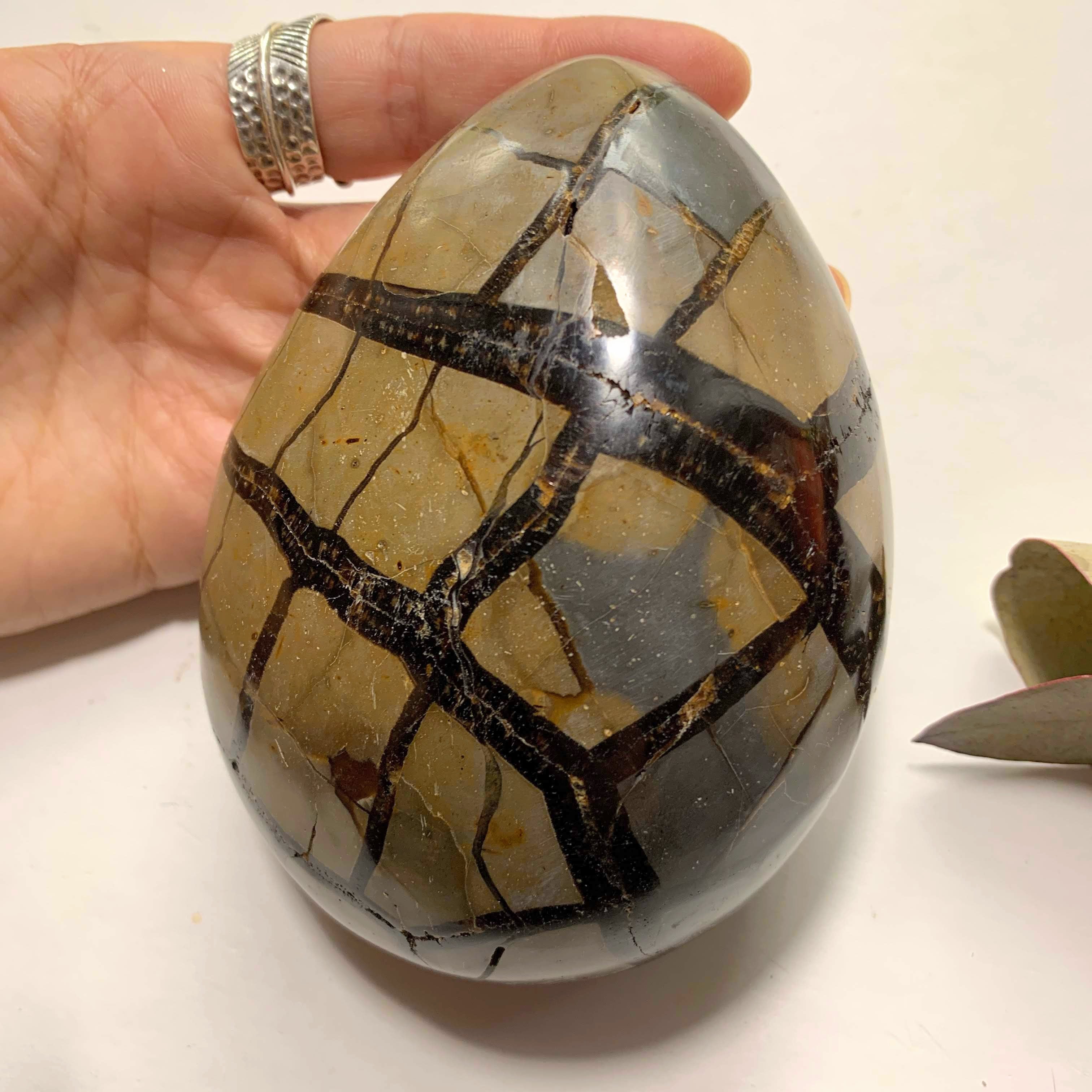 Fascinating Chocolate Brown Druzy Septarian Dragon Egg Display Geode With Calcite Inclusions - Earth Family Crystals