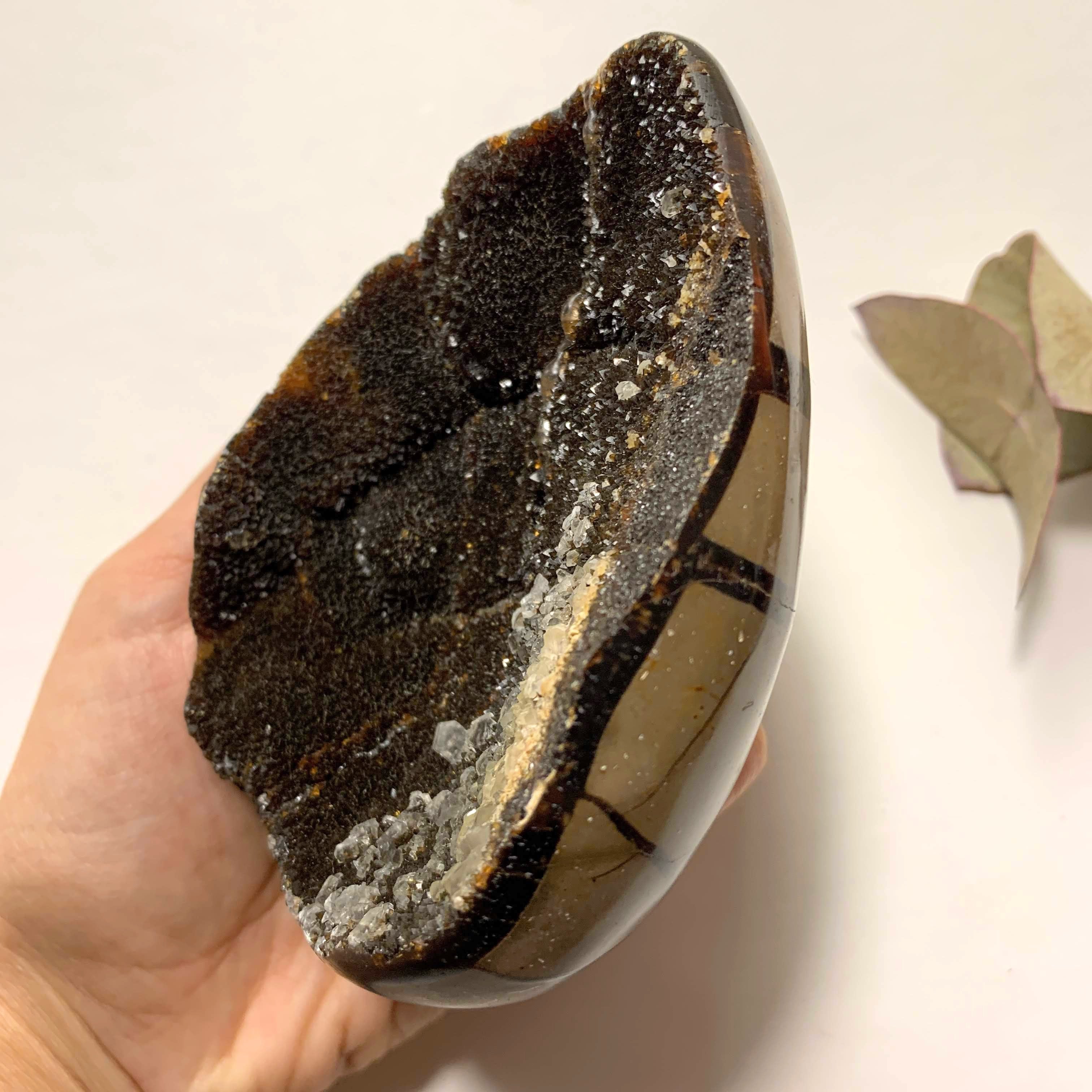 Fascinating Chocolate Brown Druzy Septarian Dragon Egg Display Geode With Calcite Inclusions - Earth Family Crystals