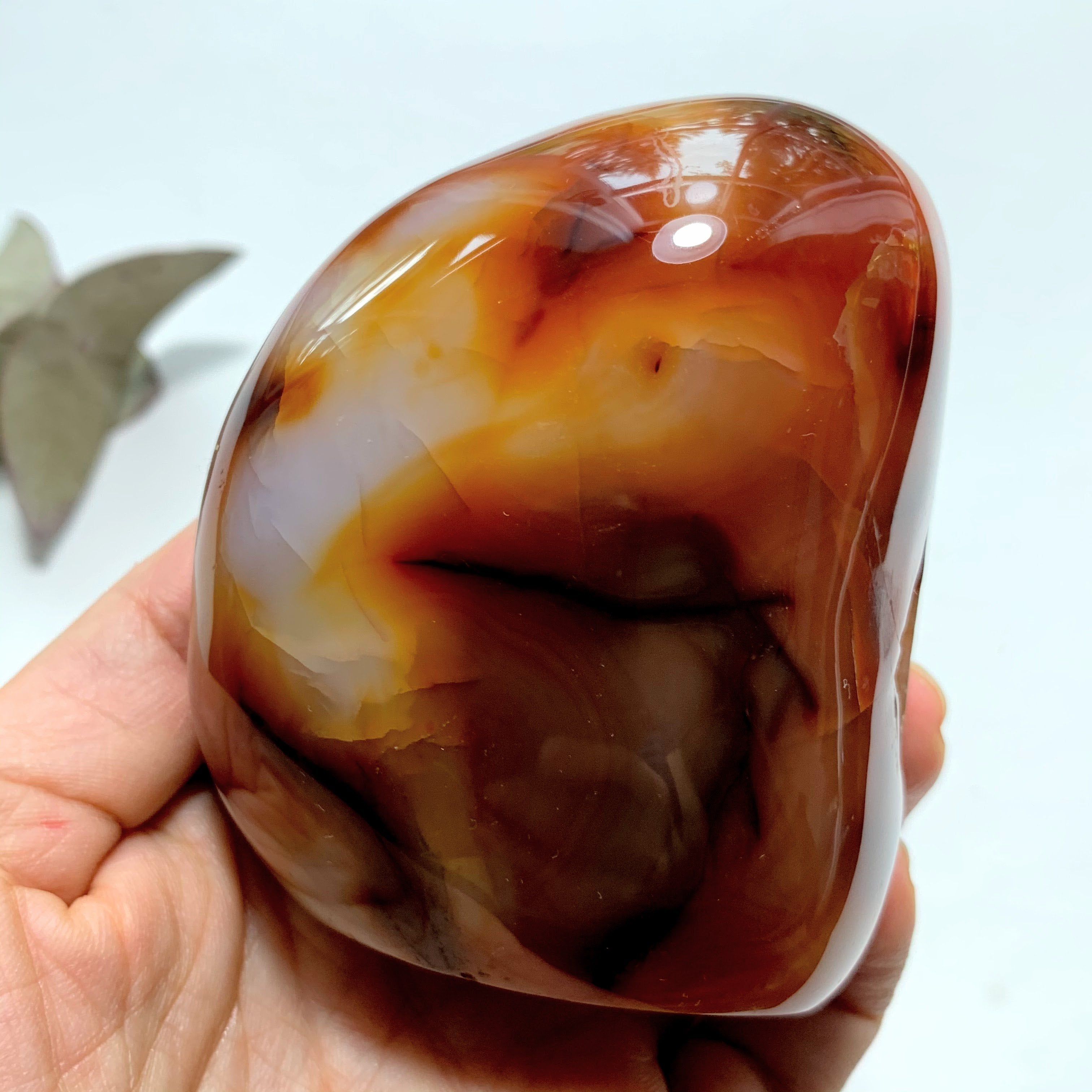 Vibrant Orange & Creamy White Carnelian Standing Specimen With Cave - Earth Family Crystals