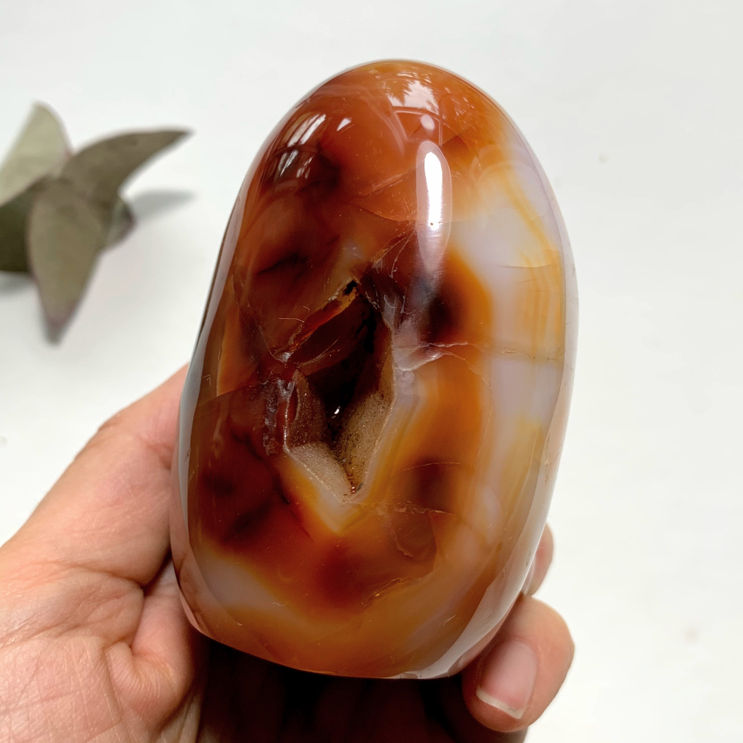 Vibrant Orange & Creamy White Carnelian Standing Specimen With Cave - Earth Family Crystals