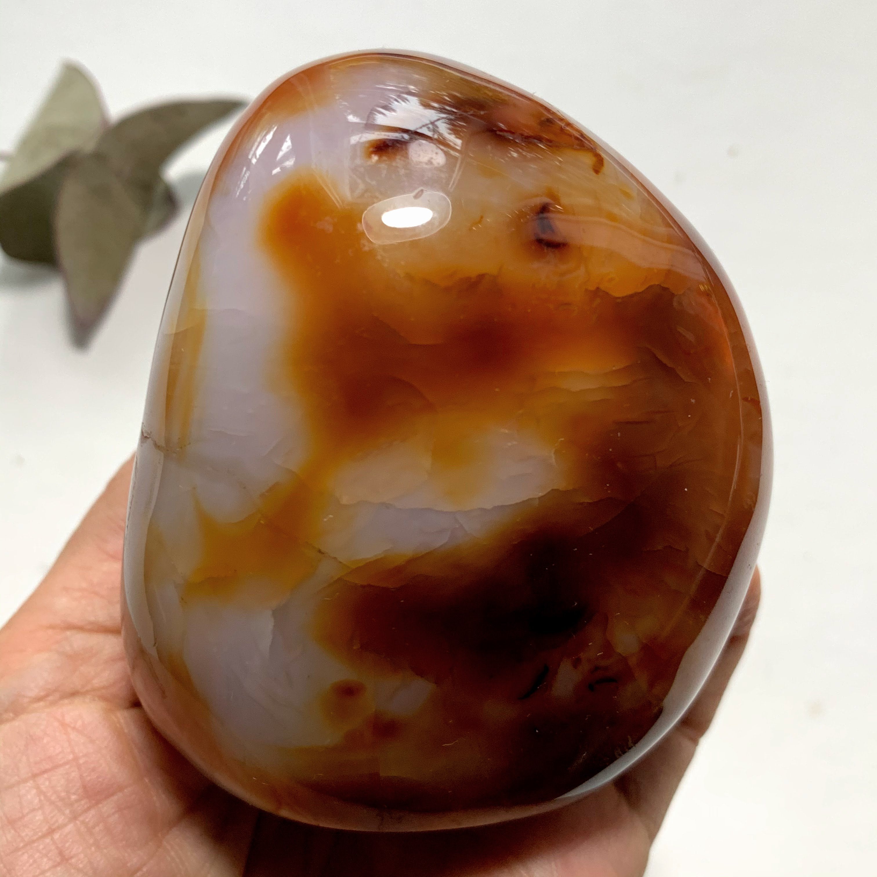 Vibrant Orange & Creamy White Carnelian Standing Specimen With Cave - Earth Family Crystals