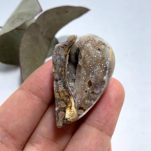 Gorgeous Sparkle! Aura Infused & Double Sided Druzy Spiralite Gemshell From India - Earth Family Crystals