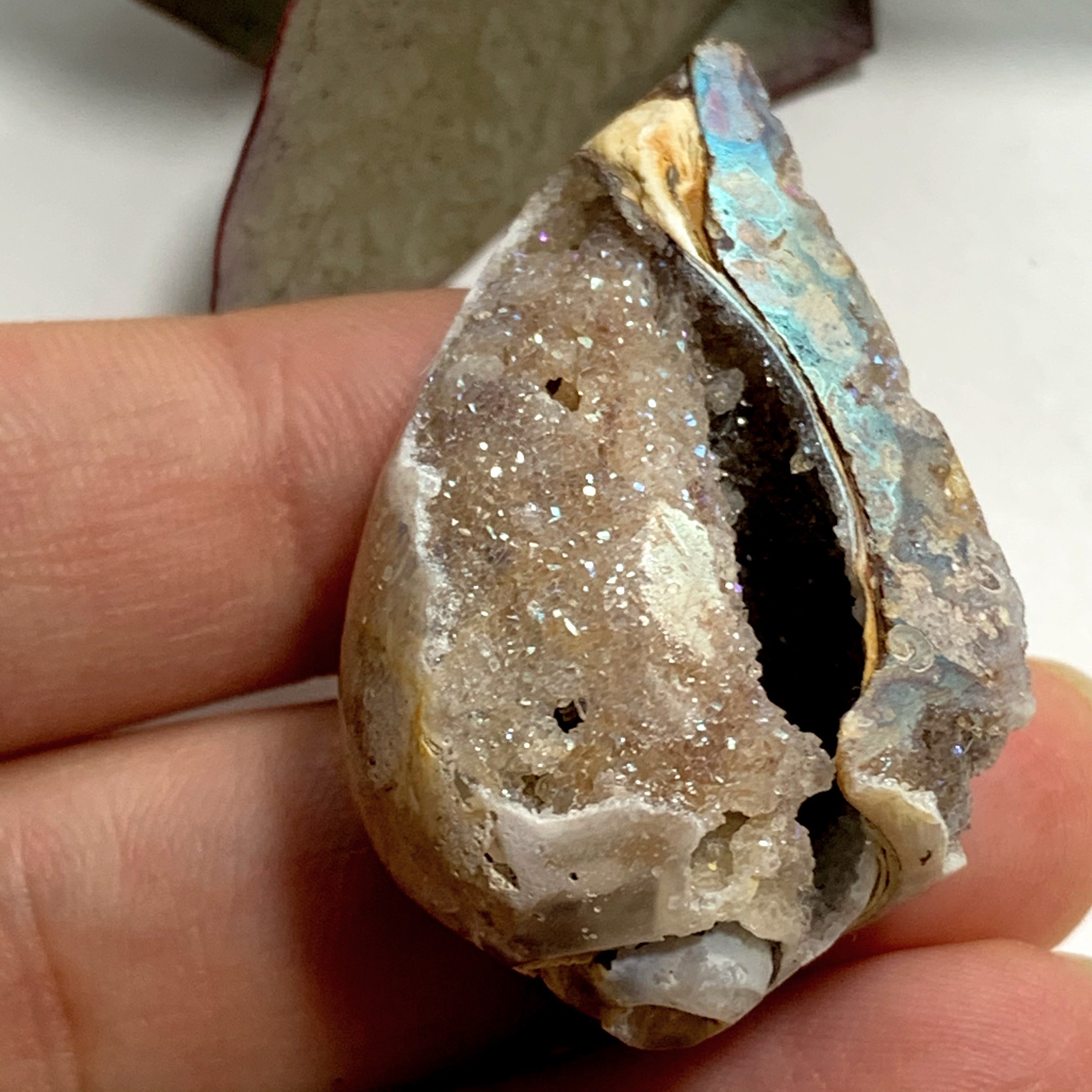 Gorgeous Sparkle! Aura Infused & Double Sided Druzy Spiralite Gemshell From India - Earth Family Crystals