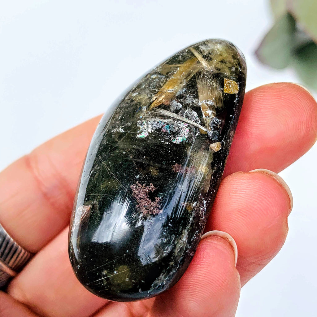 Unique Shamanic Dream Quartz With Huge Gold Rutile Blade Inclusions From Brazil - Earth Family Crystals