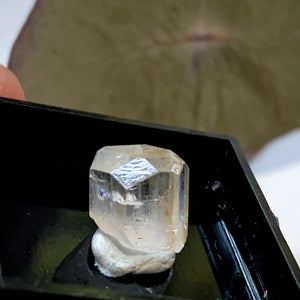 Rare~ Terminated Gem Phenacite (Phenakite) Dainty Collectors Crystal Point in Box From Brazil - 3.5 Carats  #1