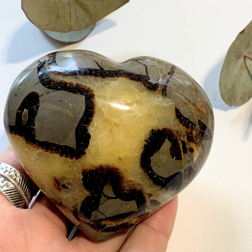 Gorgeous  Septarian Dragon Heart Carving~ Locality Madagascar - Earth Family Crystals