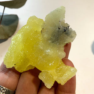 Uplifting Yellow Natural Brucite Collectors Specimen ~Locality Pakistan - Earth Family Crystals