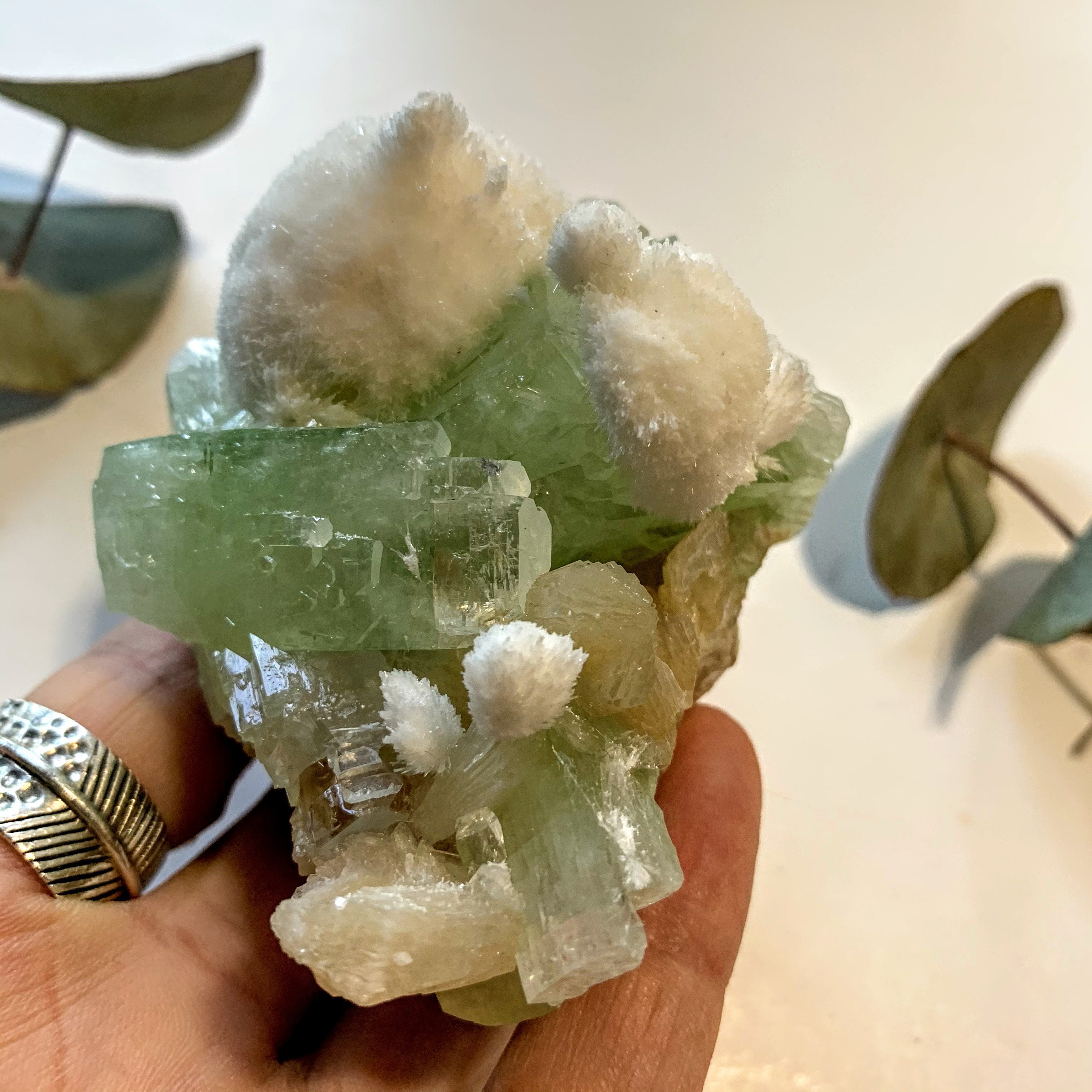 Rare~Milky White Mordenite on Brilliant Green Apophyllite & Stilbite Matrix ~Locality India - Earth Family Crystals