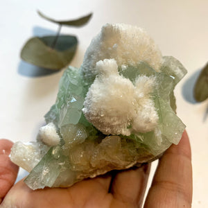 Rare~Milky White Mordenite on Brilliant Green Apophyllite & Stilbite Matrix ~Locality India - Earth Family Crystals