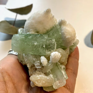 Rare~Milky White Mordenite on Brilliant Green Apophyllite & Stilbite Matrix ~Locality India - Earth Family Crystals