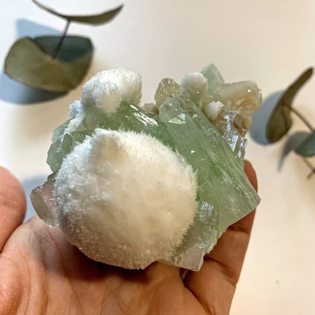 Rare~Milky White Mordenite on Brilliant Green Apophyllite & Stilbite Matrix ~Locality India - Earth Family Crystals