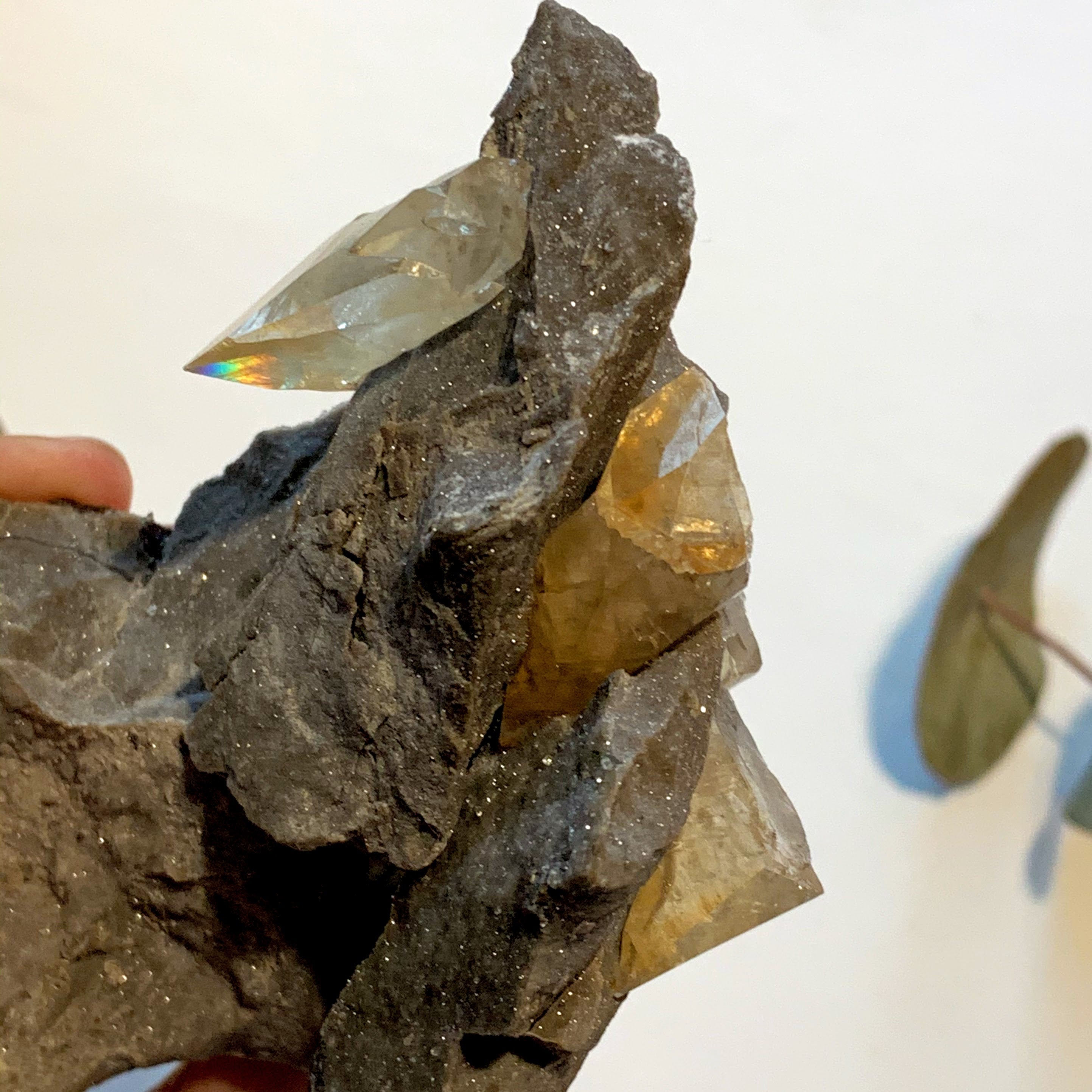 Famous Locality~Elmwood Mine Golden Stellar Beam Calcite Points nestled in Shimmering Chunky Rock Matrix - Earth Family Crystals